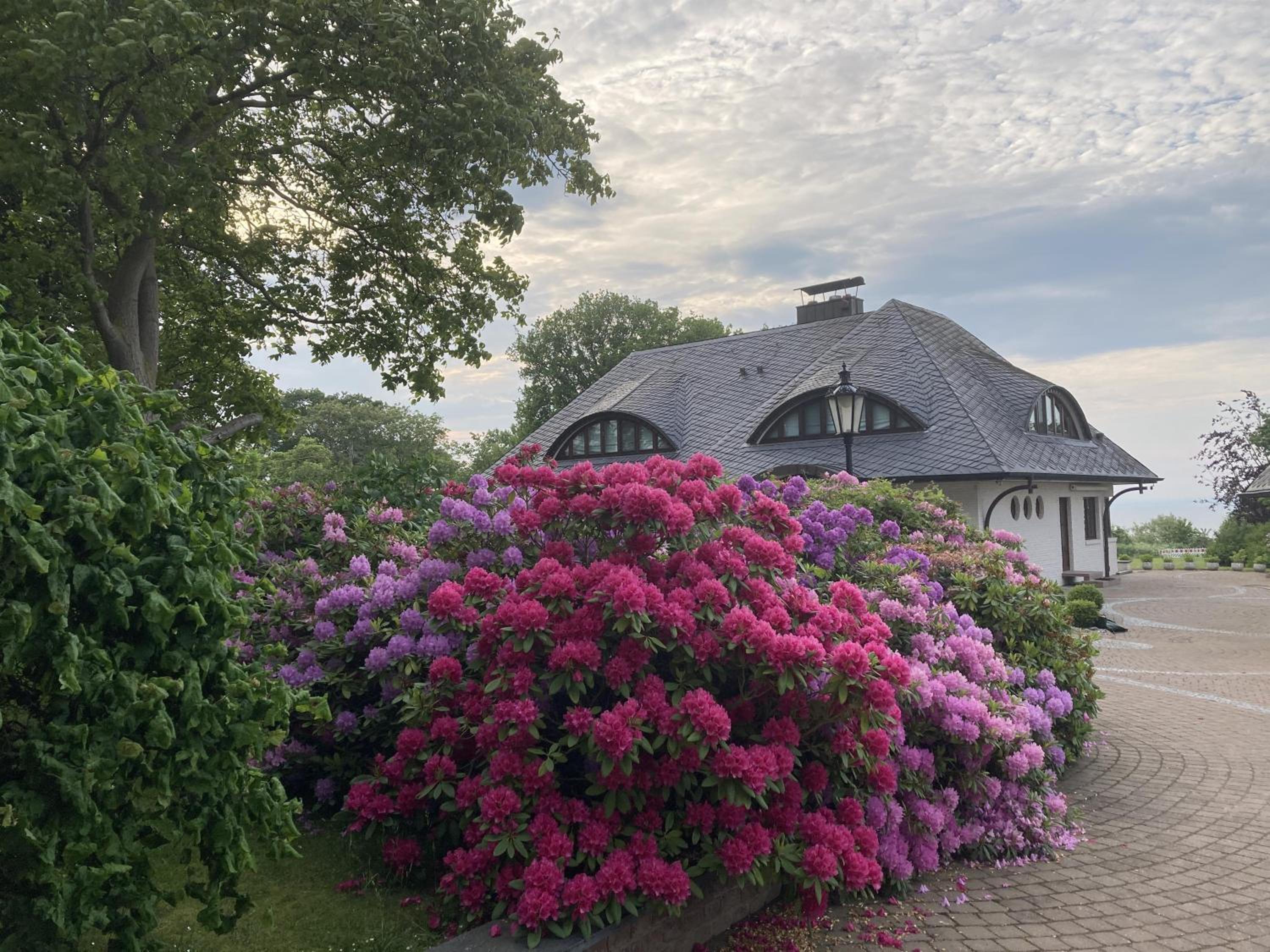 Ferienwohnung Meerblick-Ostsee