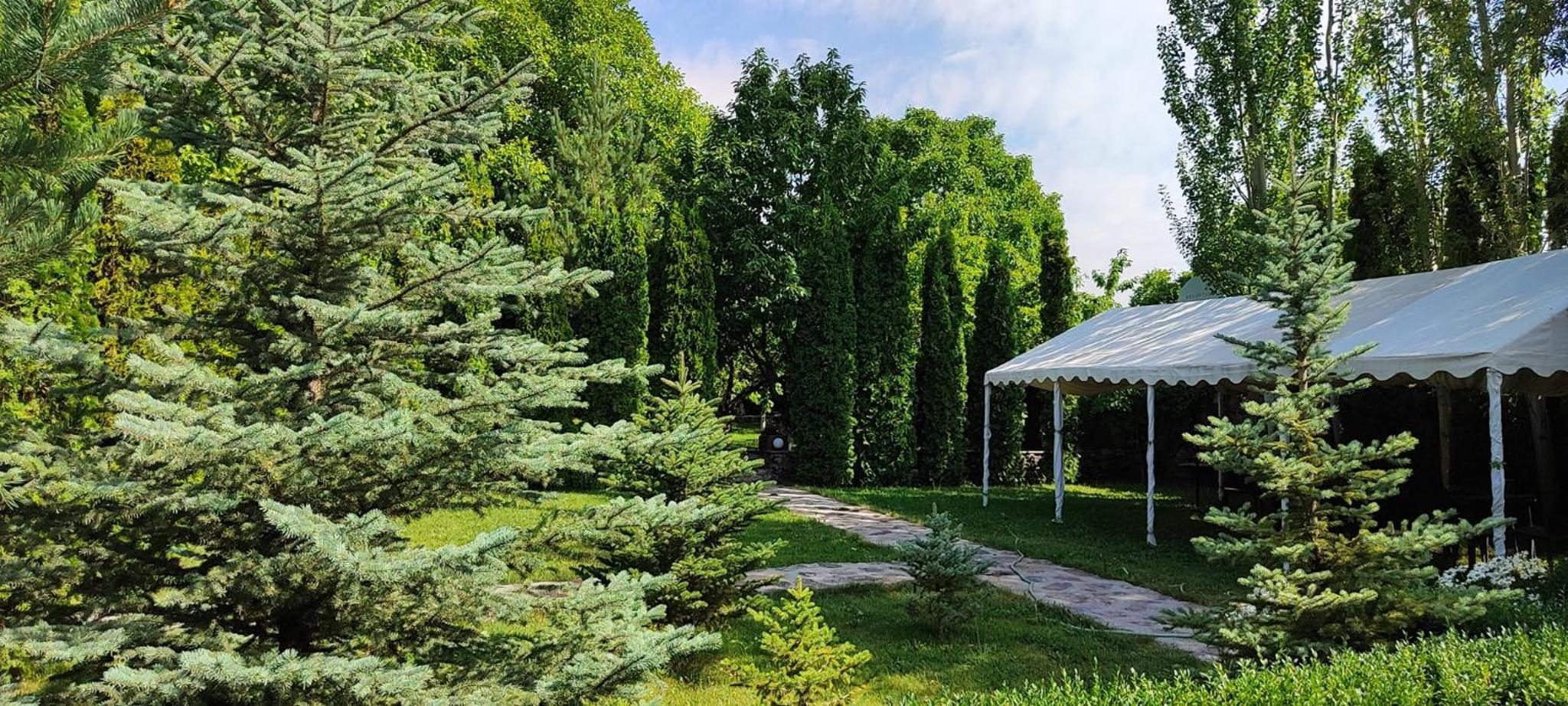 Aya Maria Wellness SPA Resort