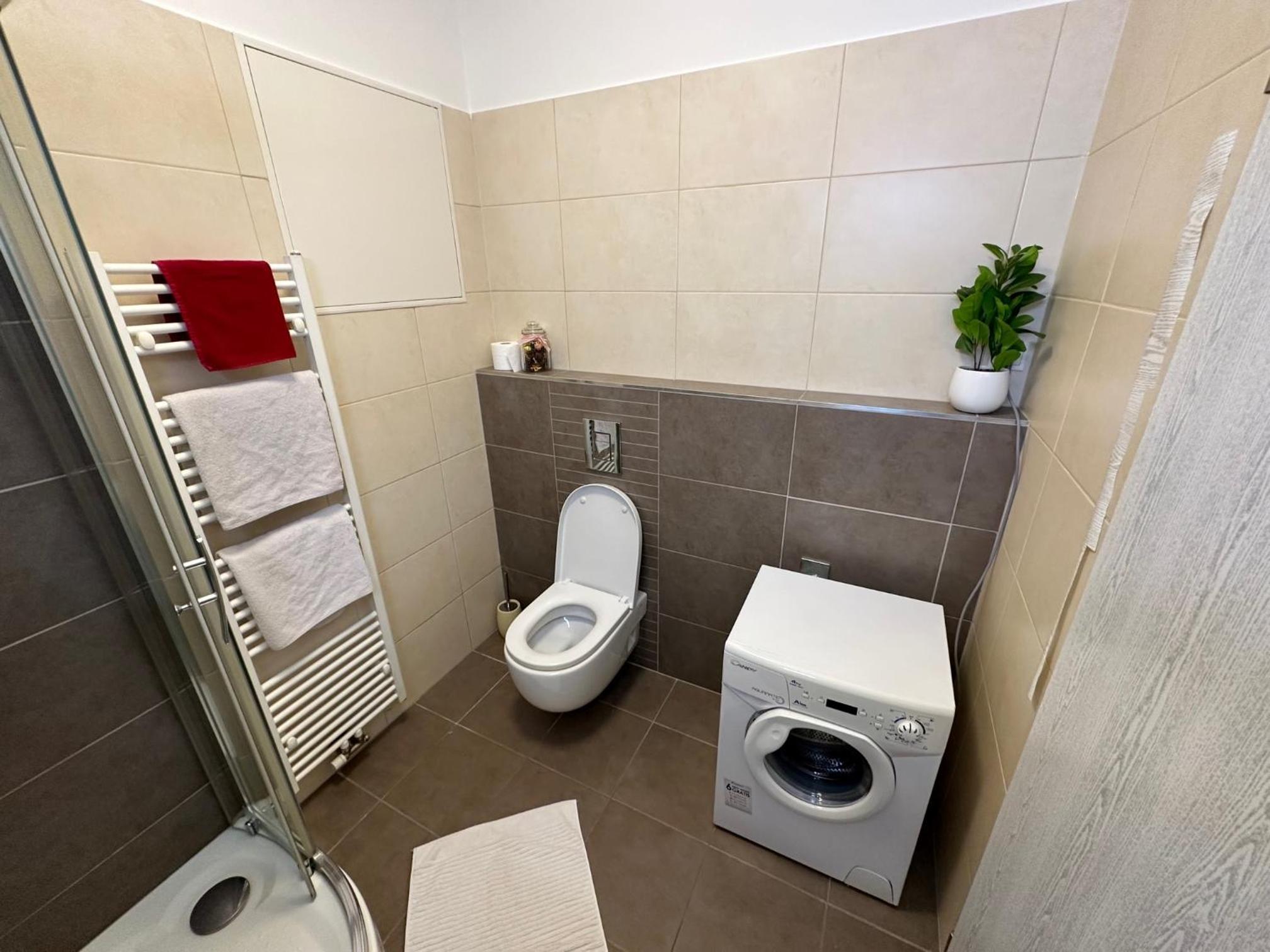Studio Ostrava - Penthouse Karolina