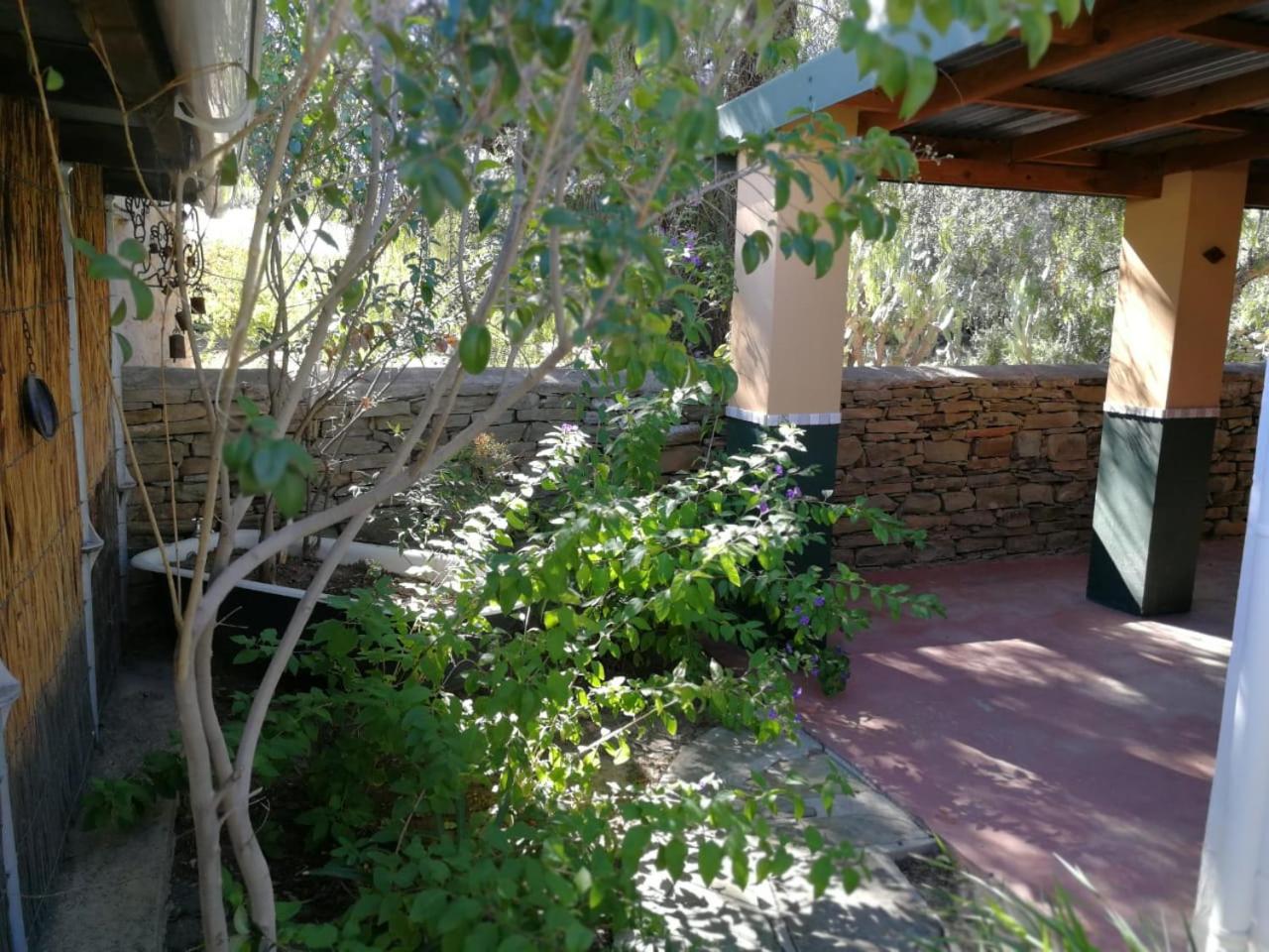 Photo 28
