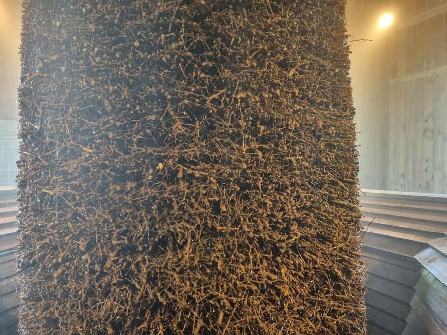 Ferienwohnung direkt am Kurpark mit Gradierwerk Solestadt