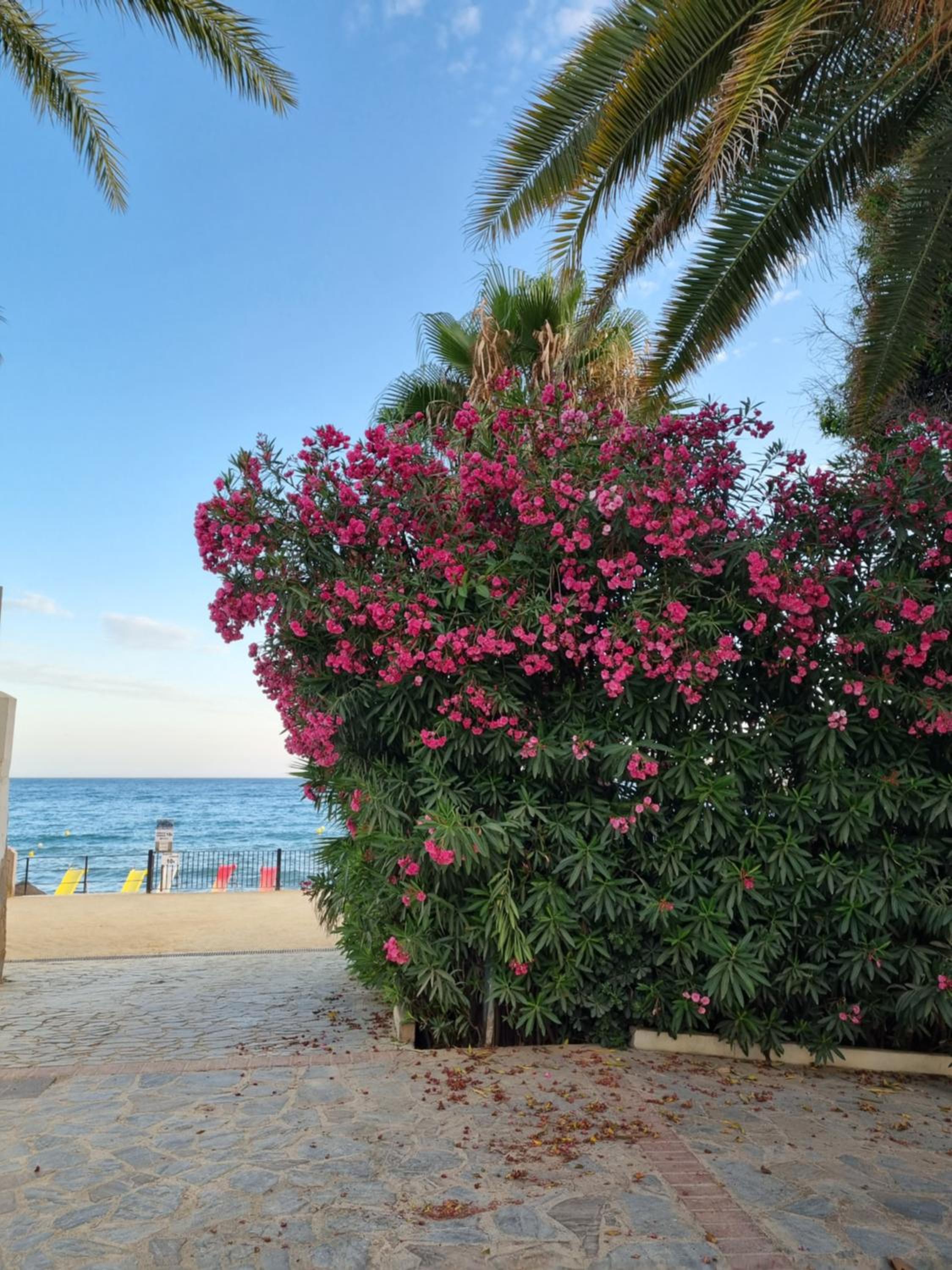 TOPLAGE Marbella Neubau Luxus-Apartment, Strand und Altstadt in Minuten zu Fuss