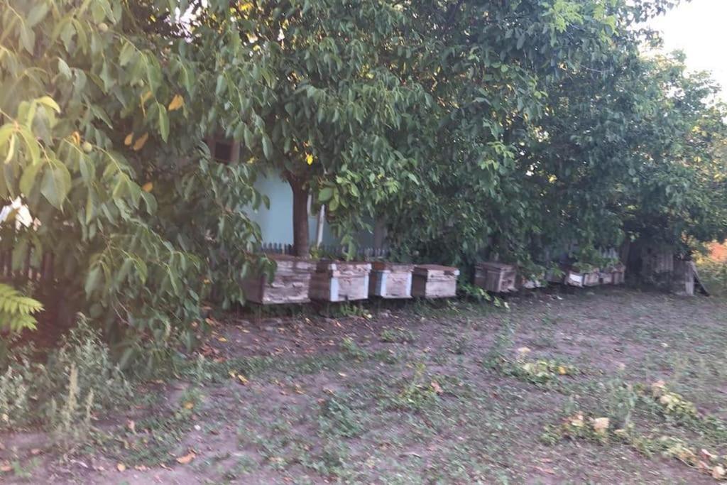 Cheerful house !!! view 2