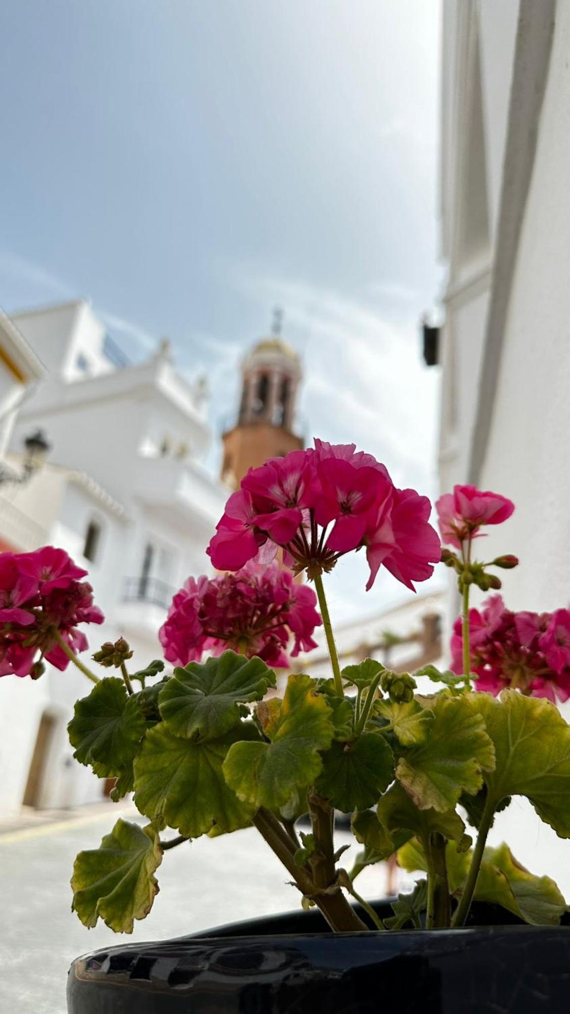 Casa Vista Maroma Guest House