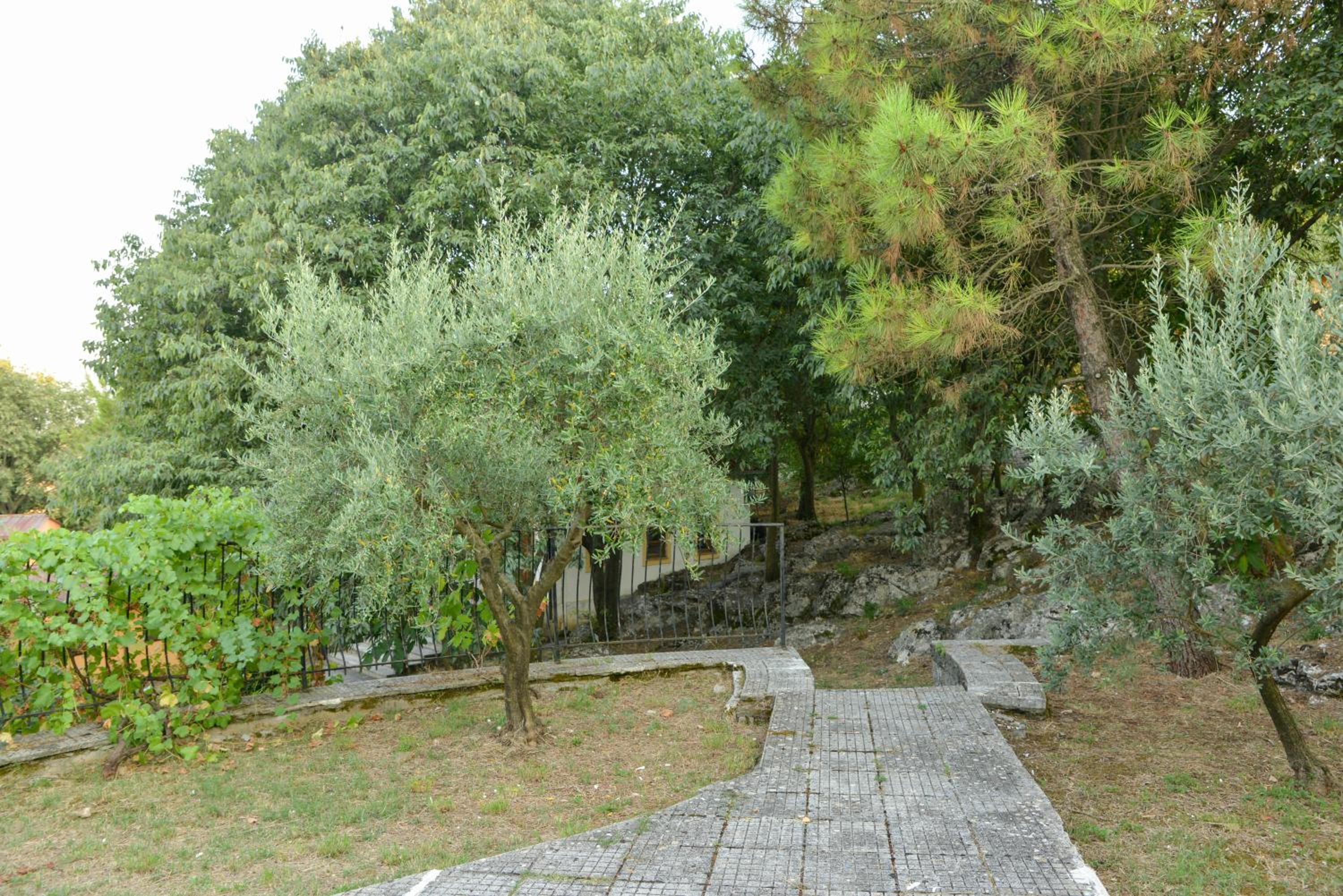Village of Peace - House 38