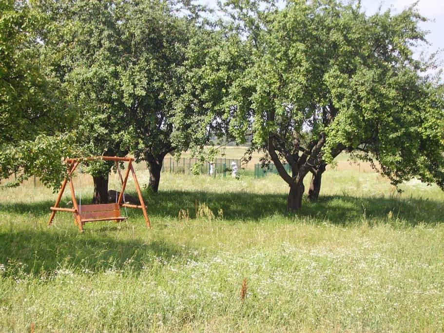 Ducka Wola 10 - Cichy Zakątek, sielanka na wsi