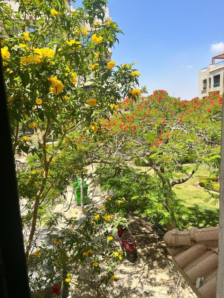 Garden view apartment