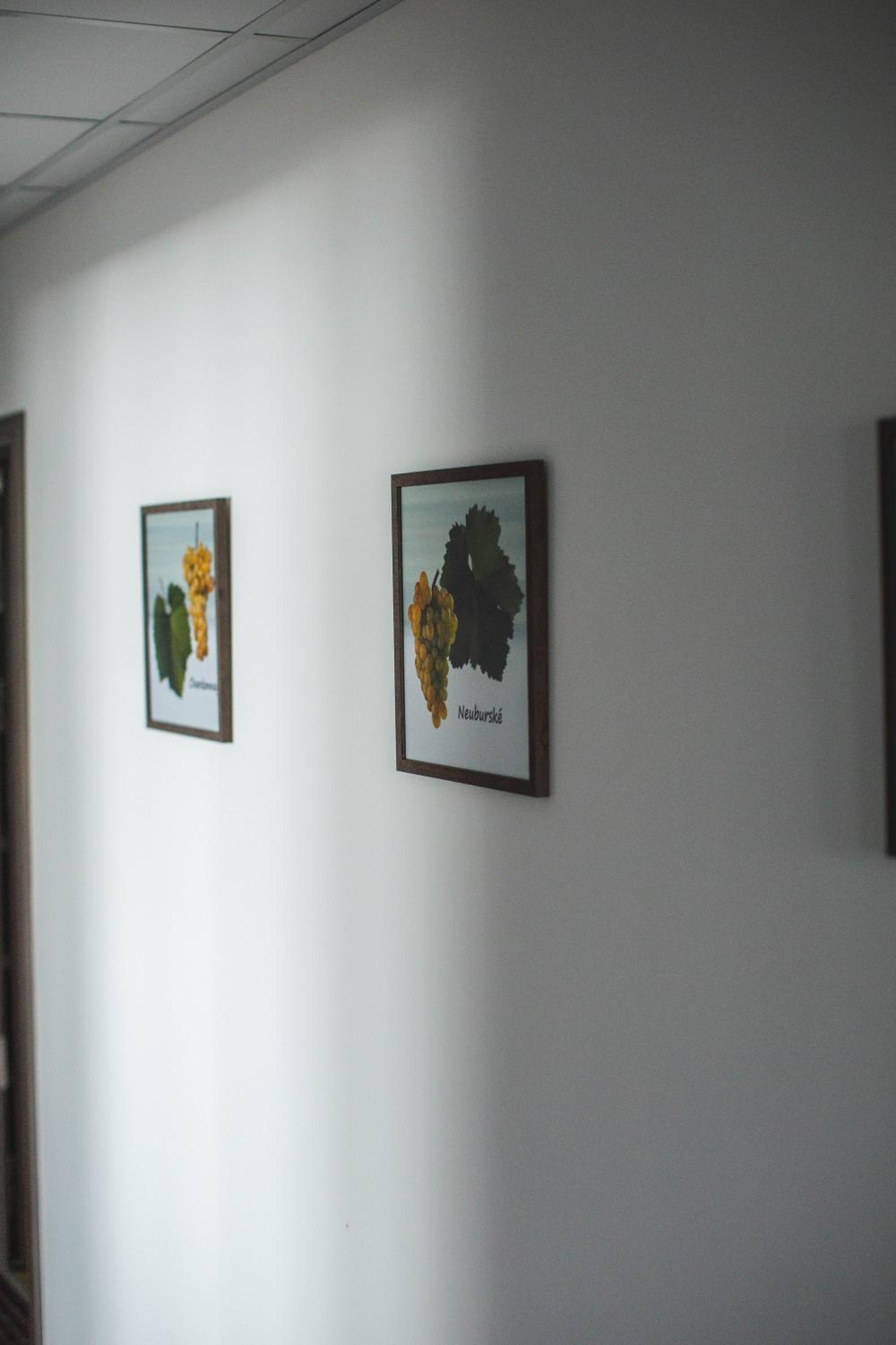 Apartmány Pemag Mikulov