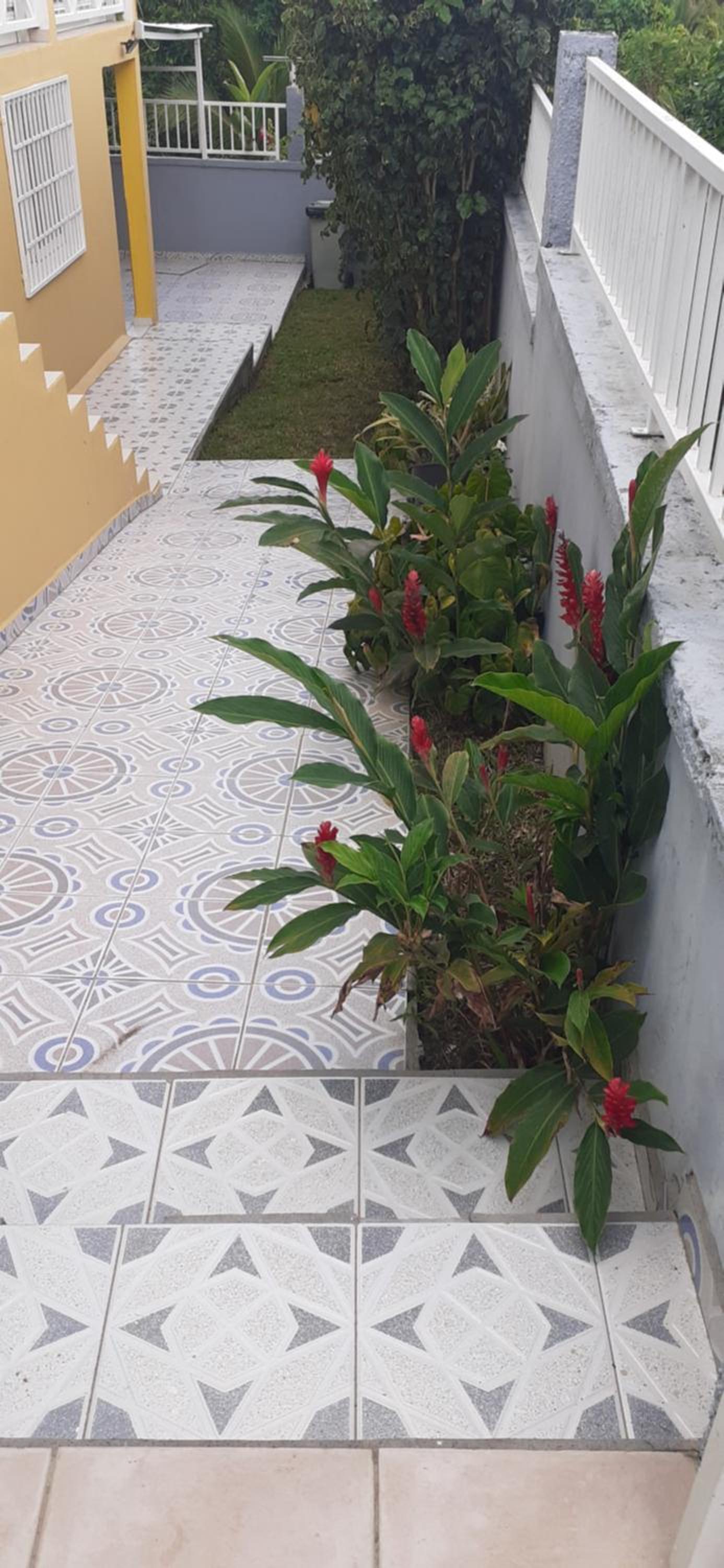 La verdure