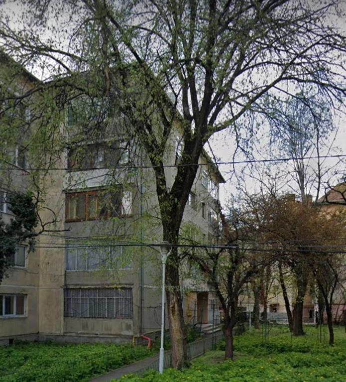 Central Place Apartment Timisoara