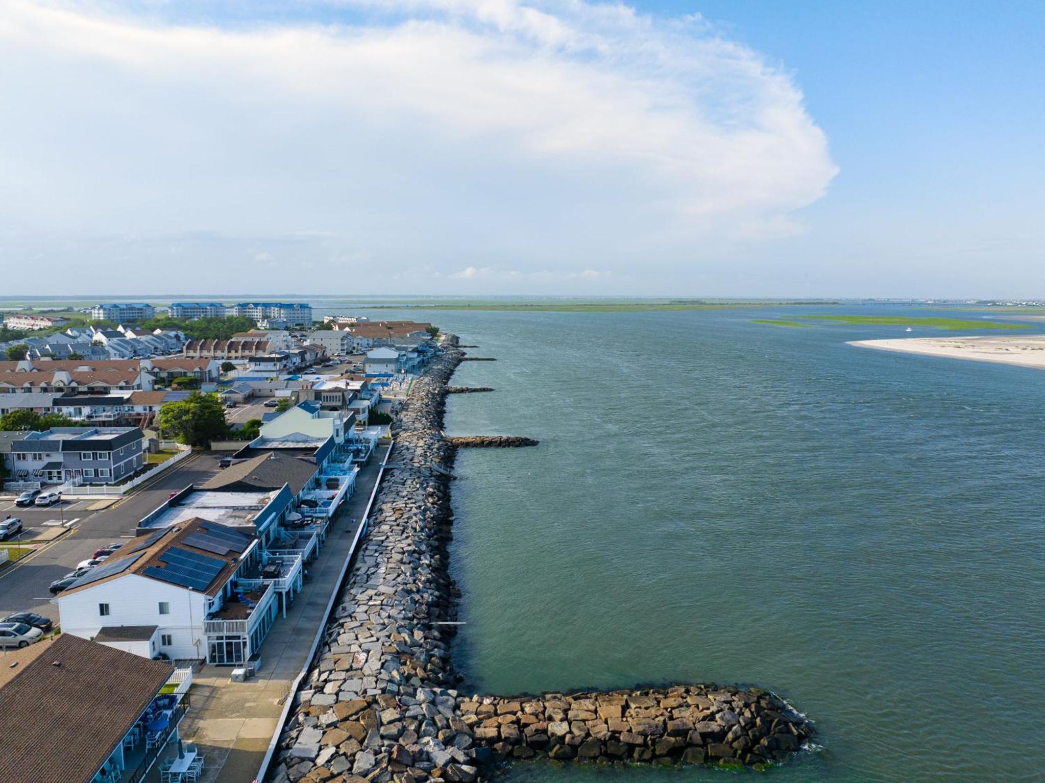 Anglesea Stunner Waterfront Relax to Surf Sounds