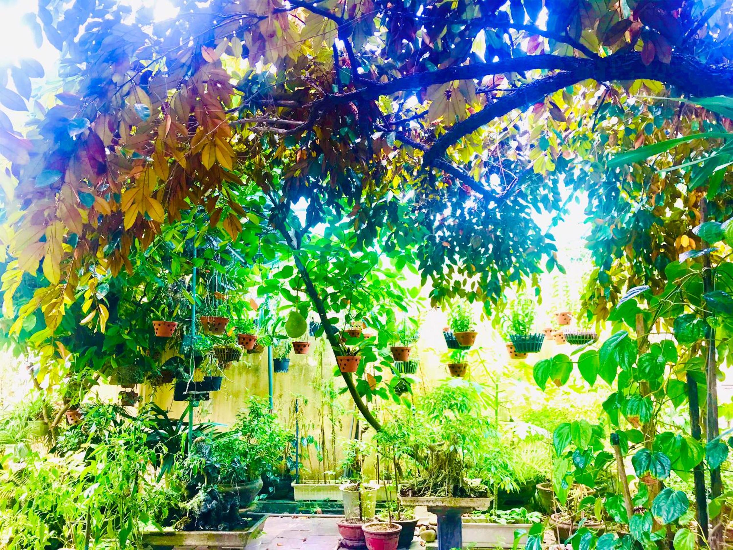 Pebble Homestay