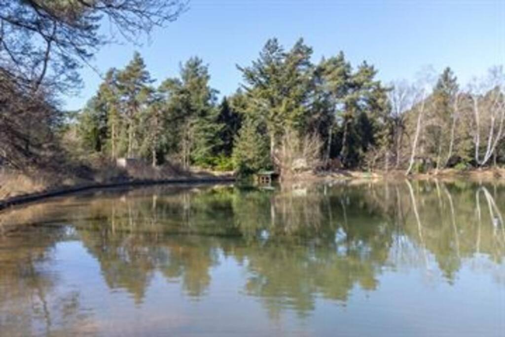 Natuurhuisje Vechtdal Bungalow met privé sauna zwemmeer en houthaard view 4