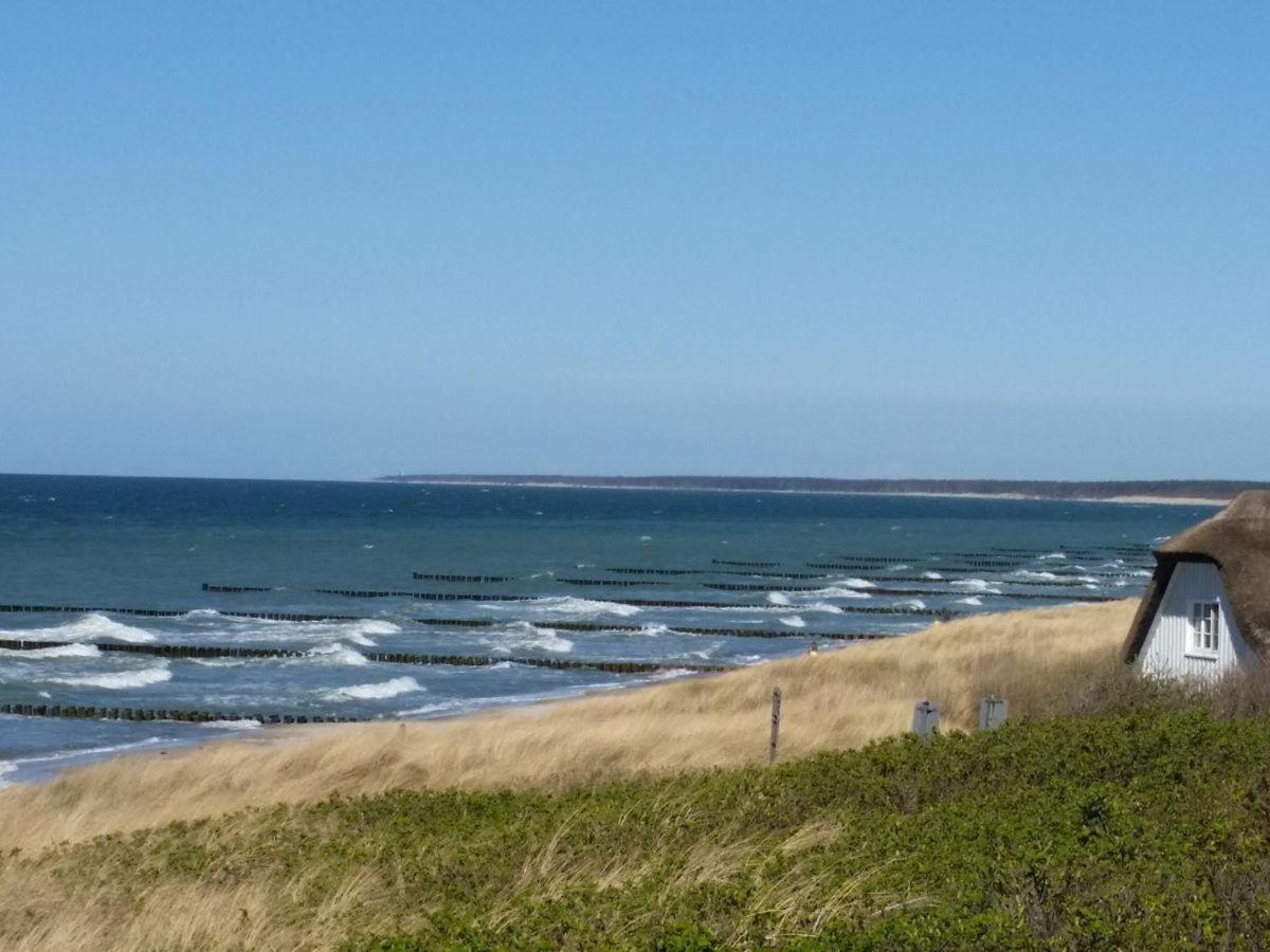 strand-gut