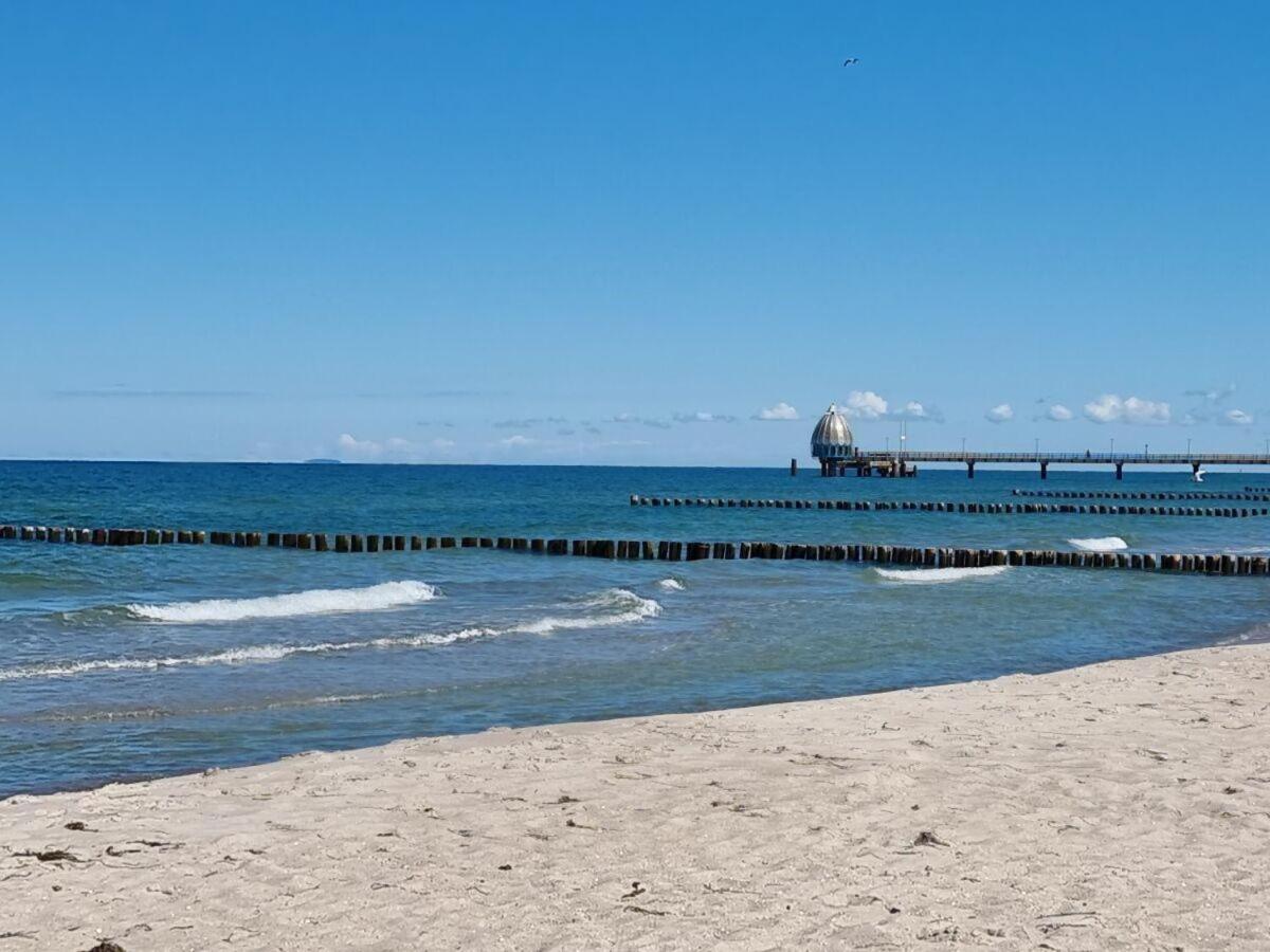 strand-gut