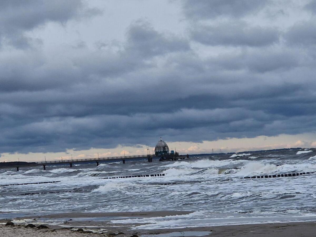 strand-gut