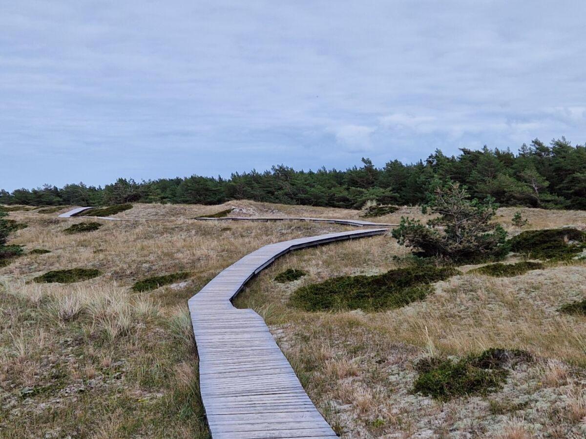strand-gut