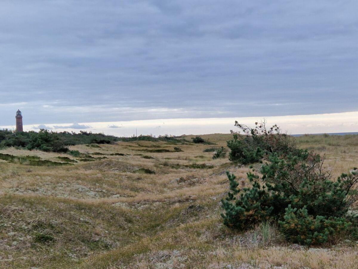 strand-gut