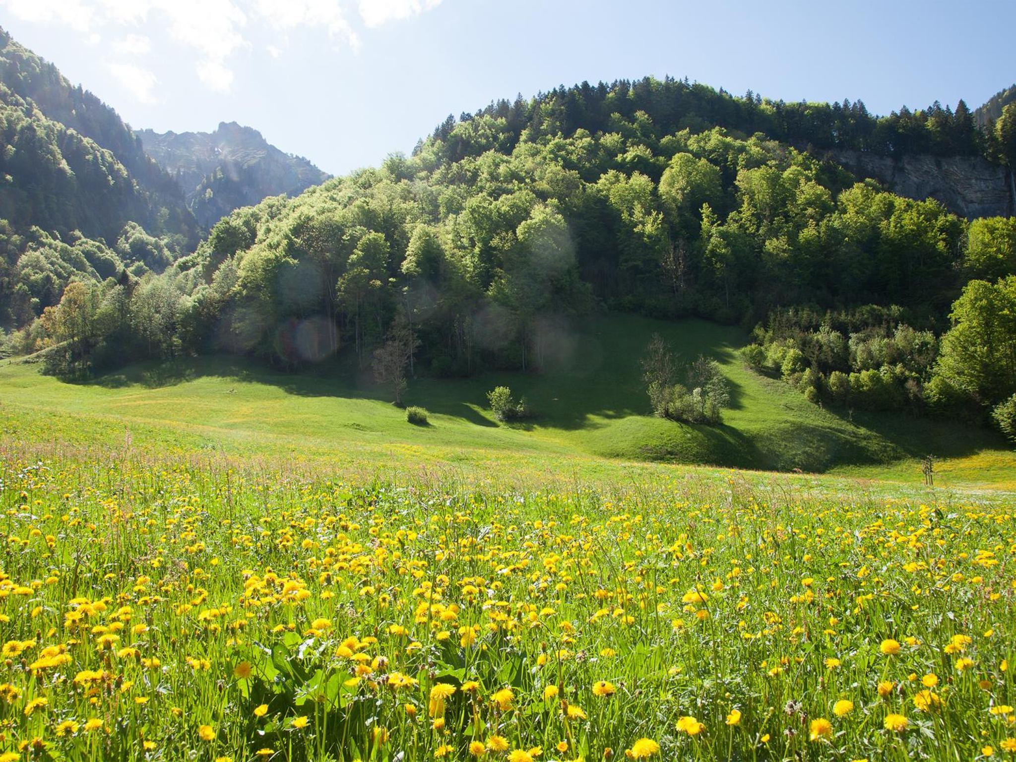 Alps Hoamat Ferienchalet