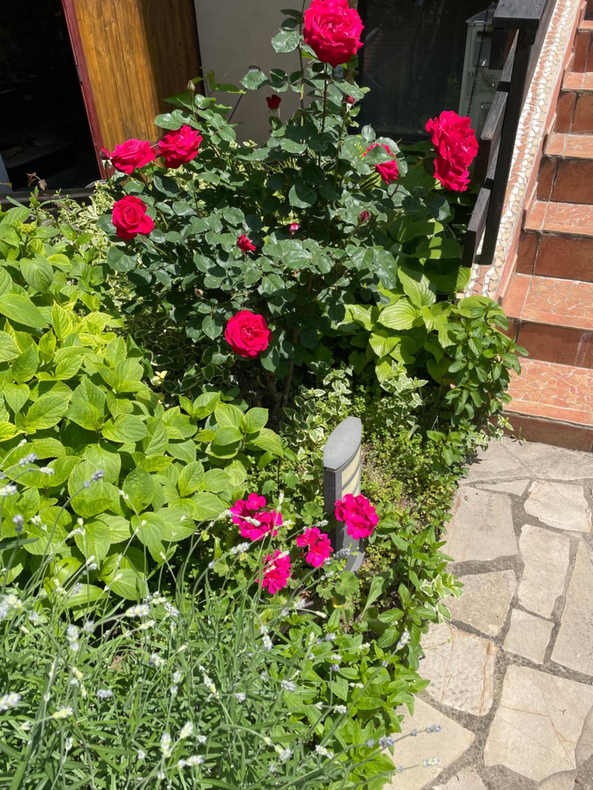 Photo 19
