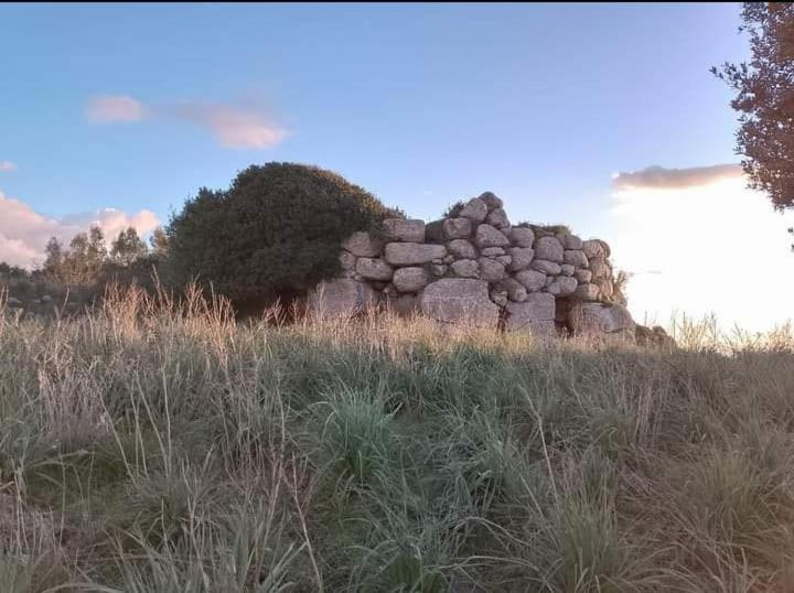 Photo 53