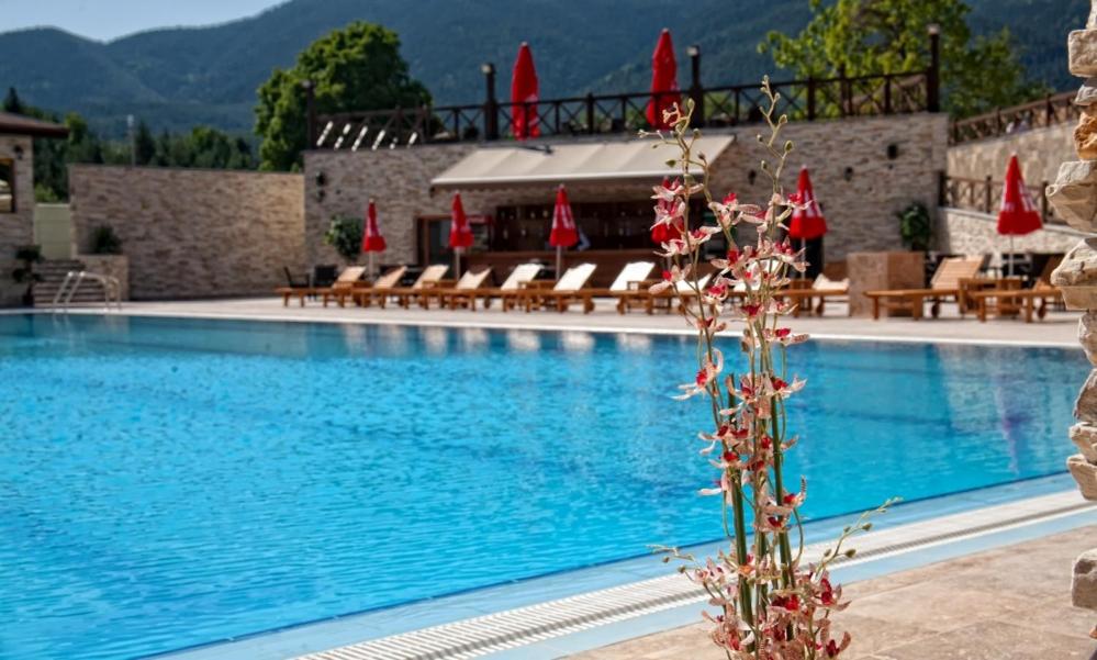 private apartment in a five-star hotel in Bansko