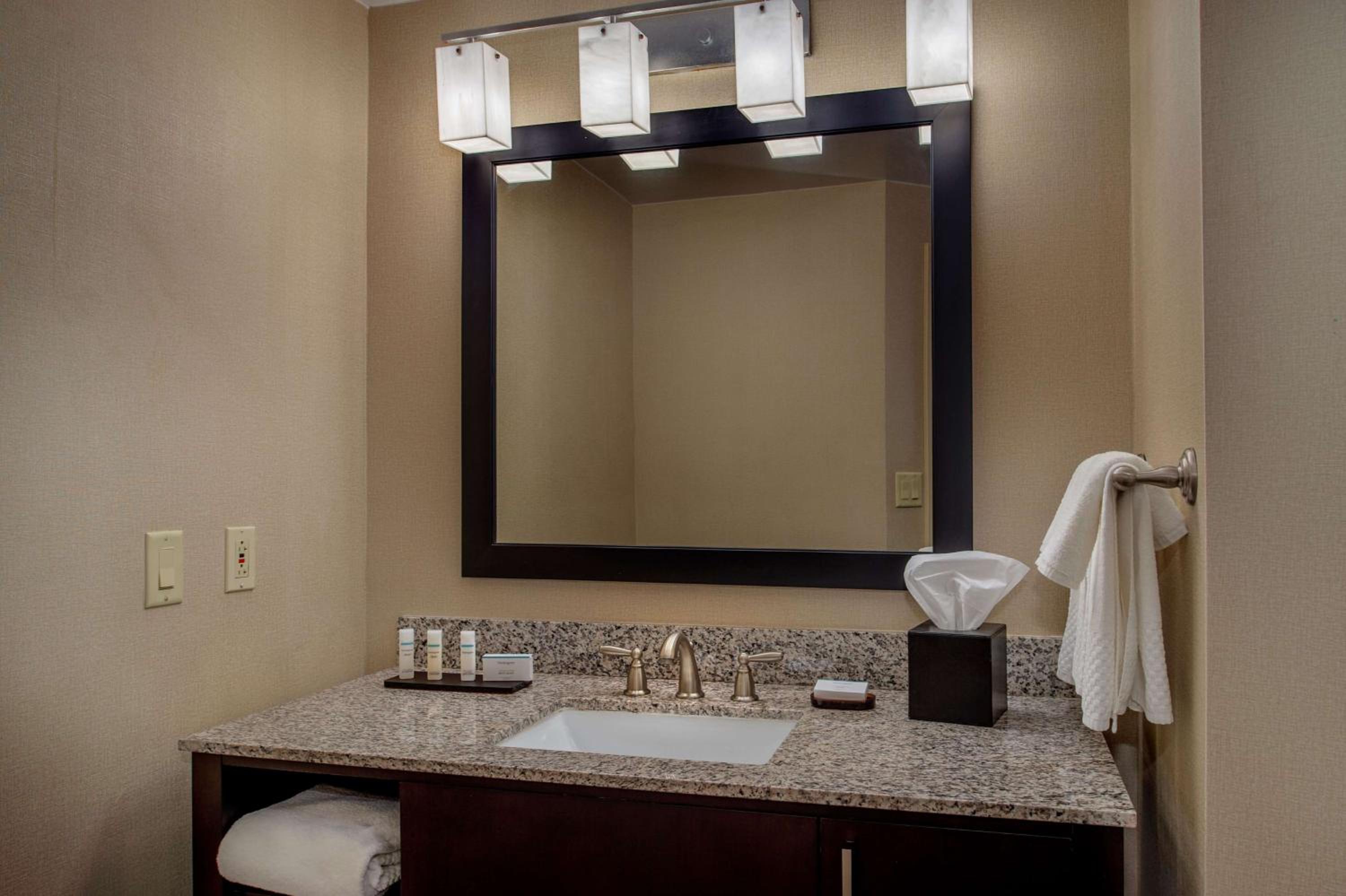 Embassy Suites by Hilton St Louis Airport - Property Image 29