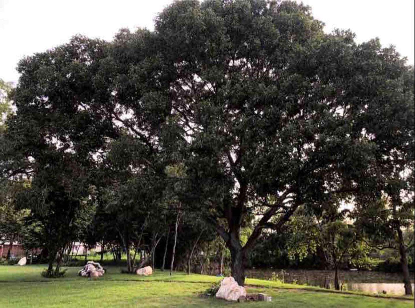 Premium space in Santiago- 5 Min Away from airport