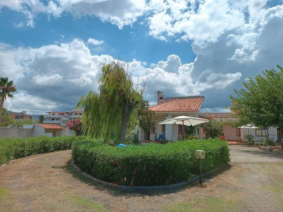Photo 18