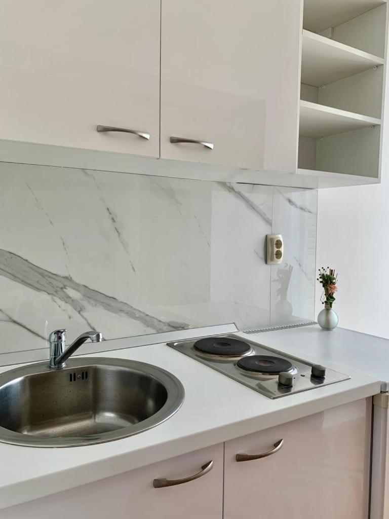 Apartment Nikola Škarica 3