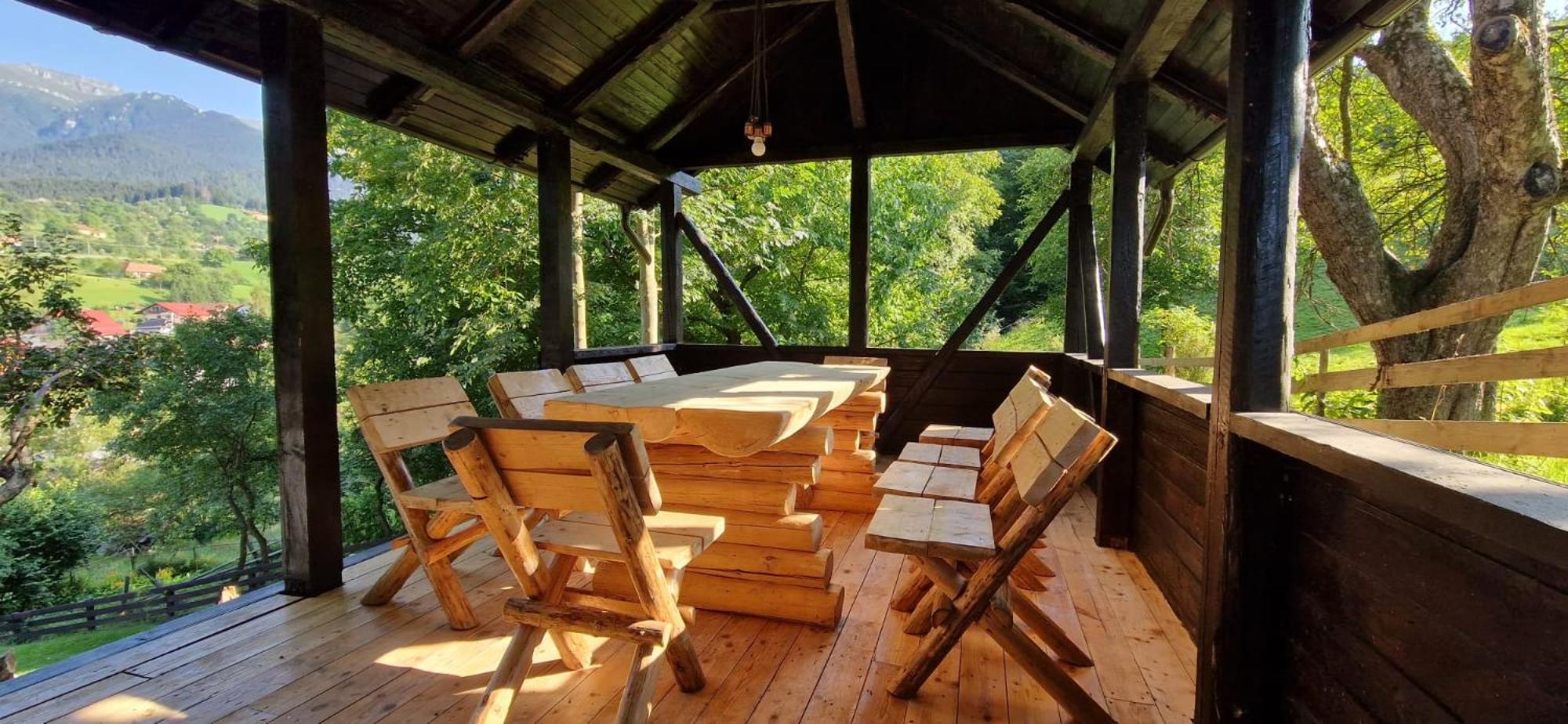 Chalet Poarta view 4