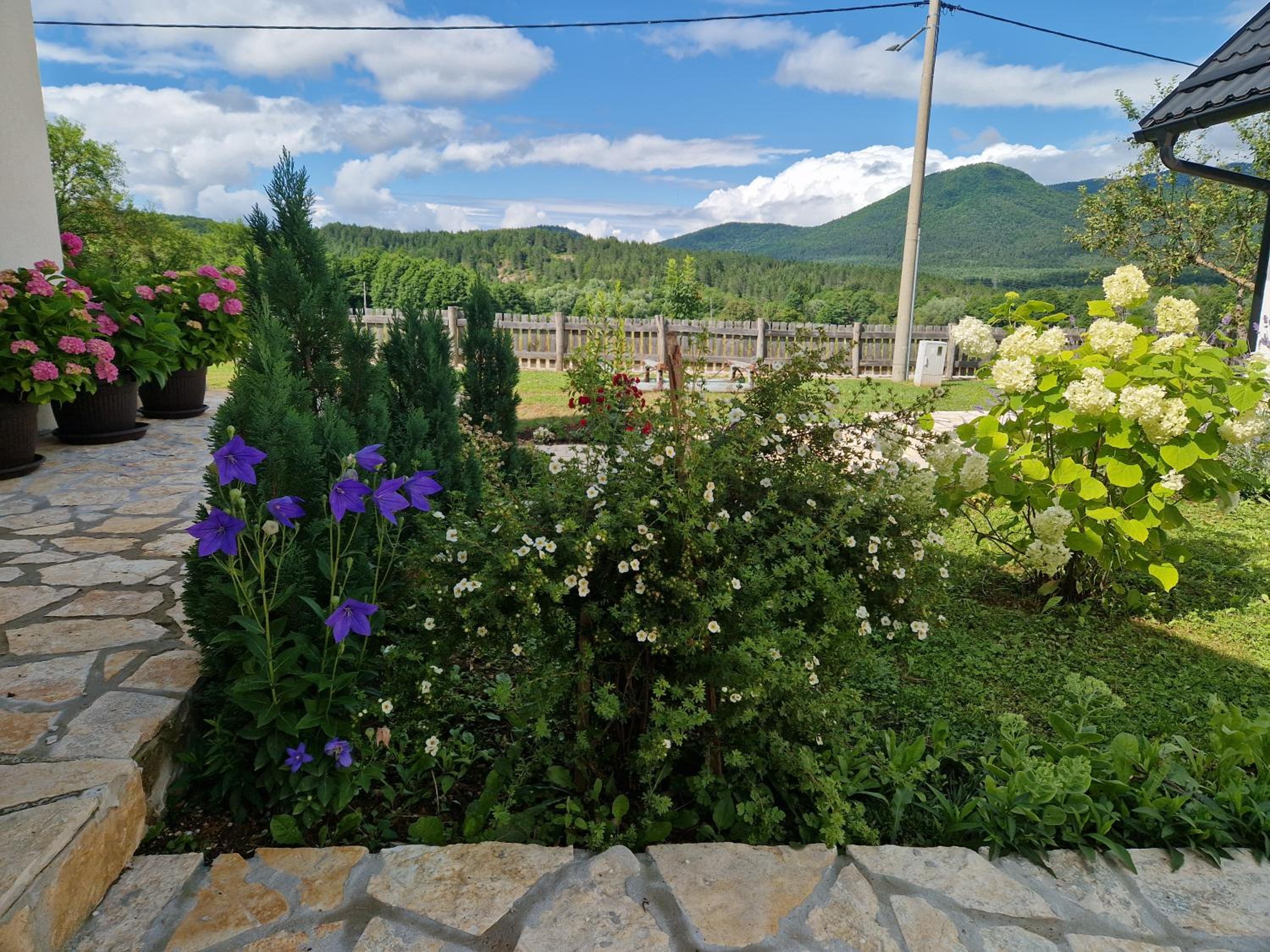 Plitvice Apis