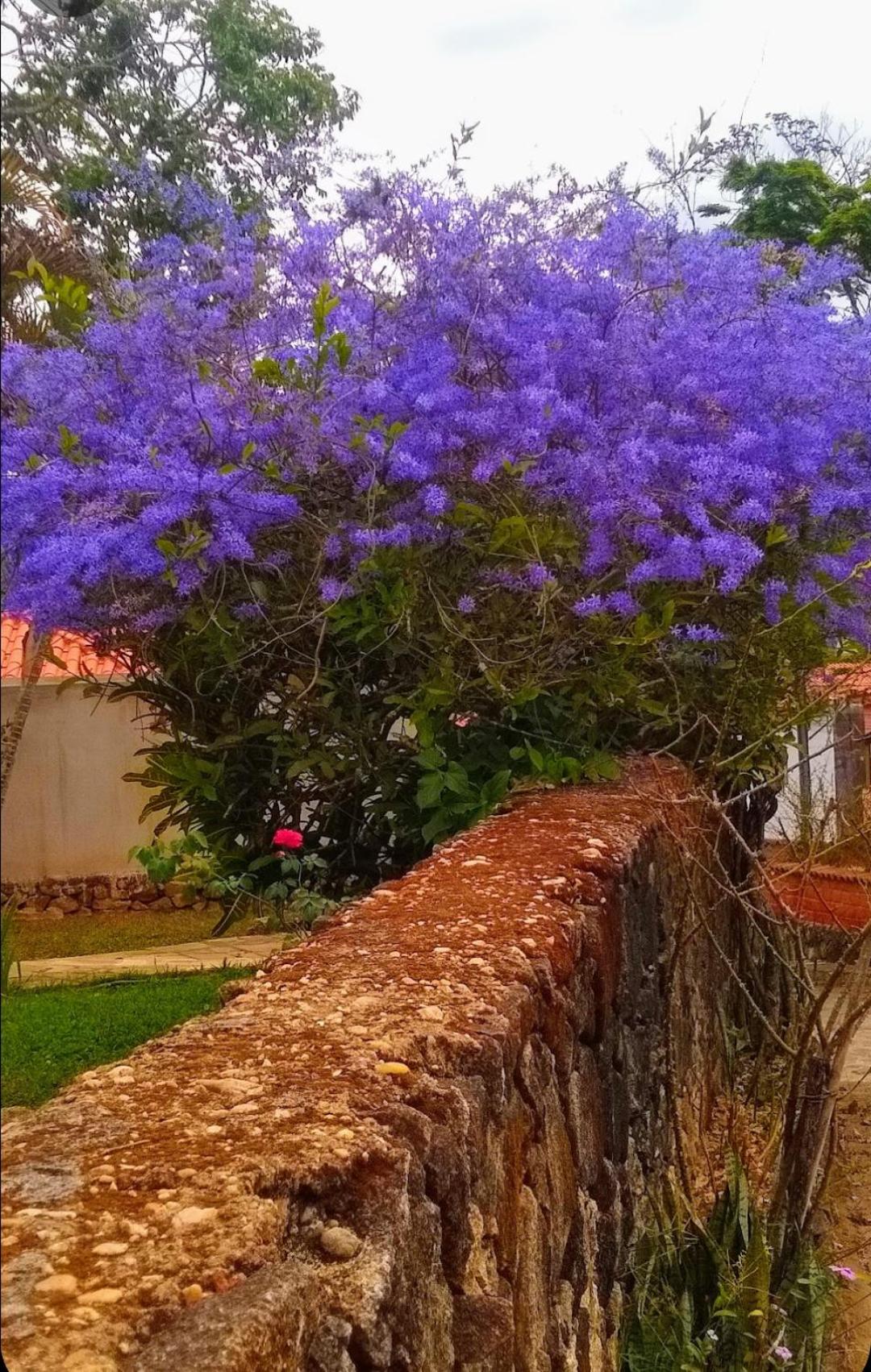 Pouso do Bizuca