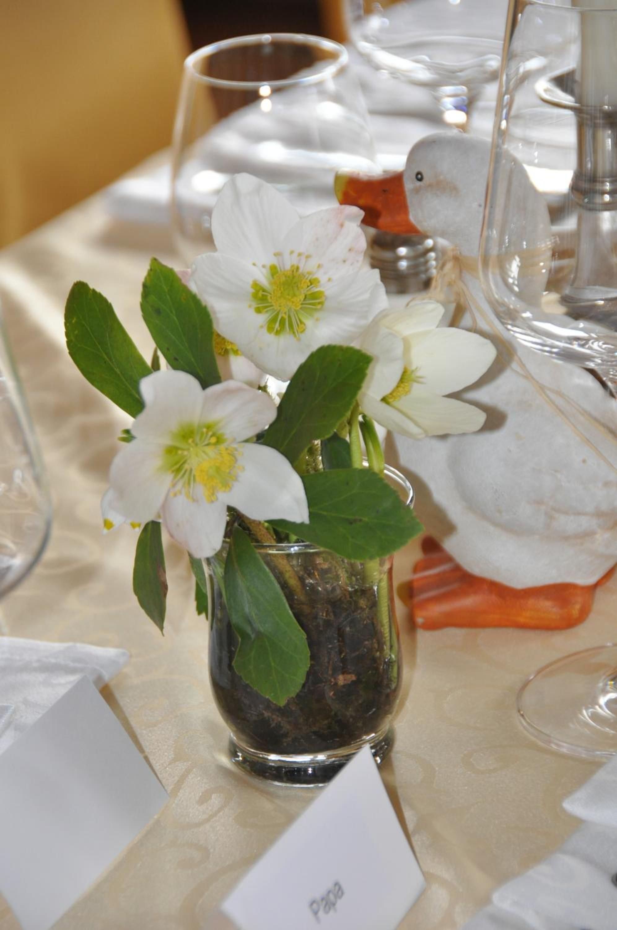 Frühstückspension Seeberghof