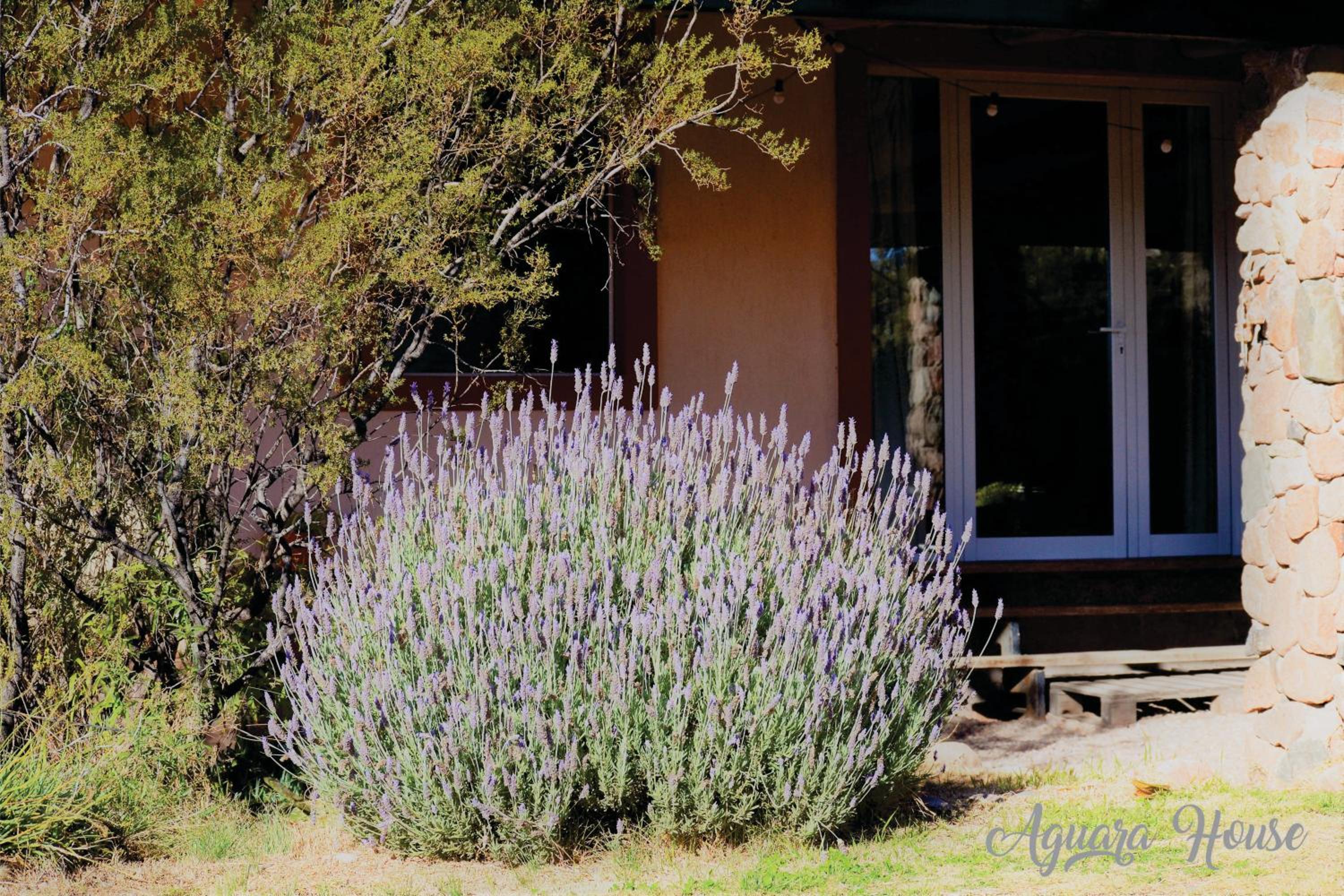 Casa en Mendoza 
