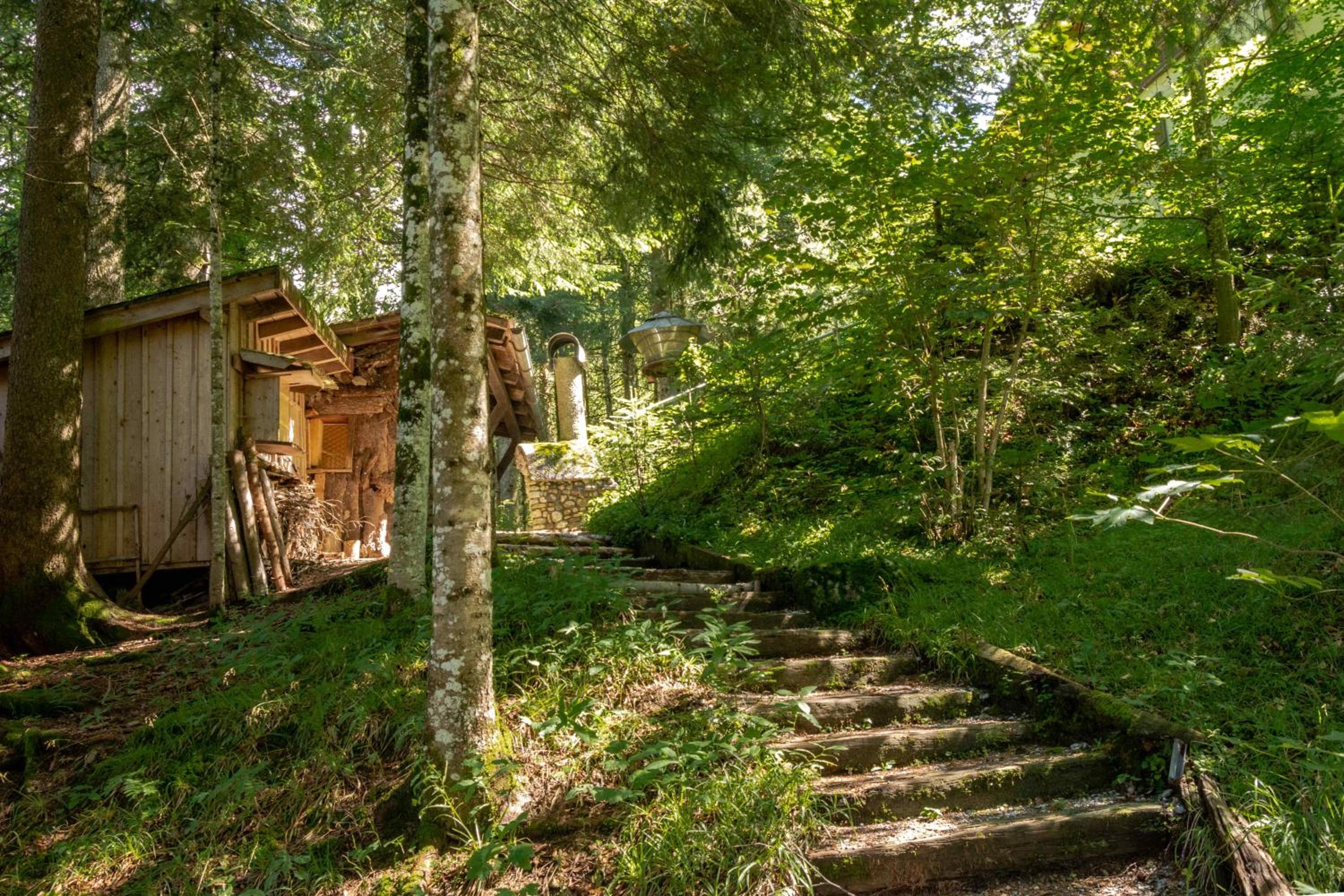 Ferienhaus Schetteregg