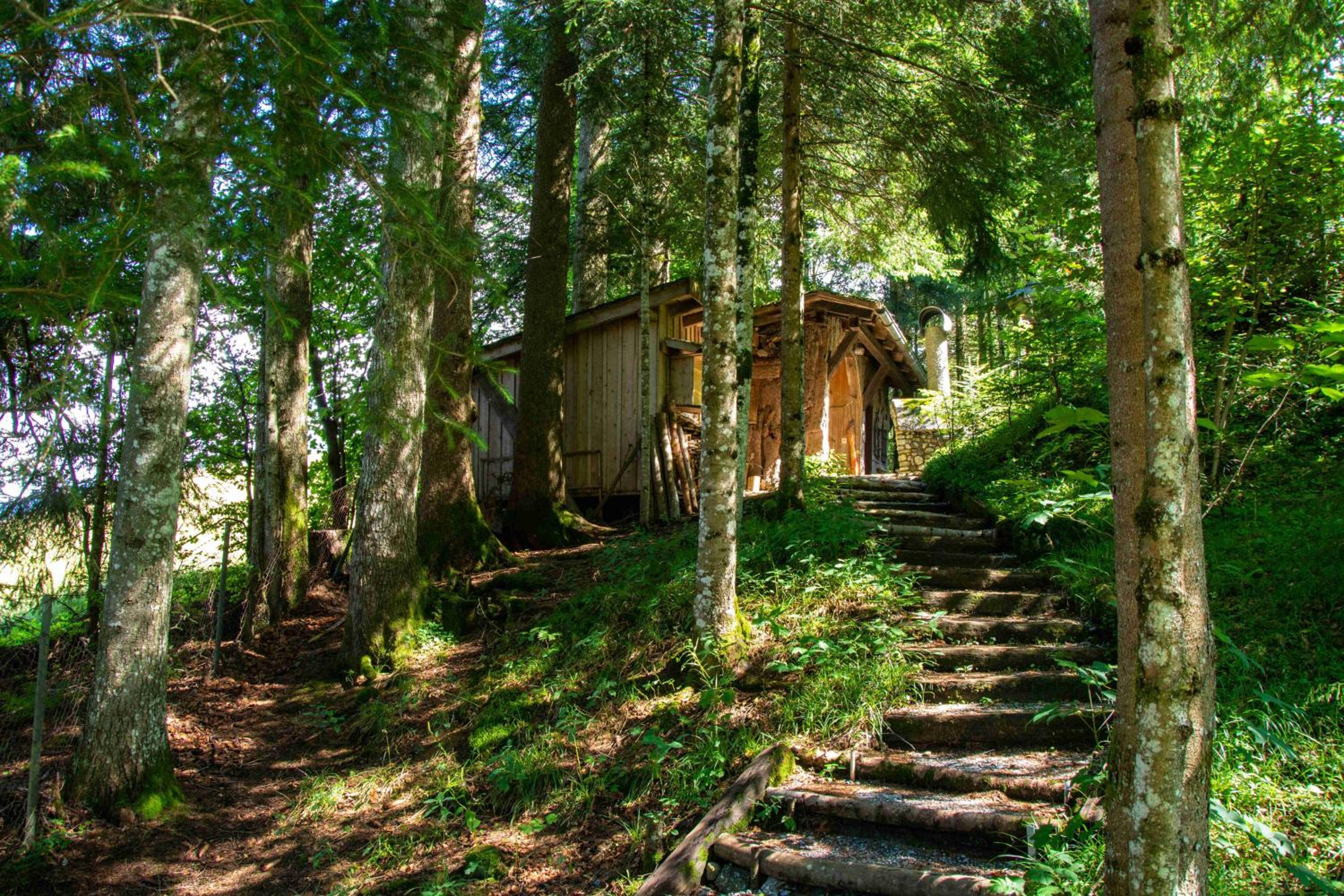 Ferienhaus Schetteregg
