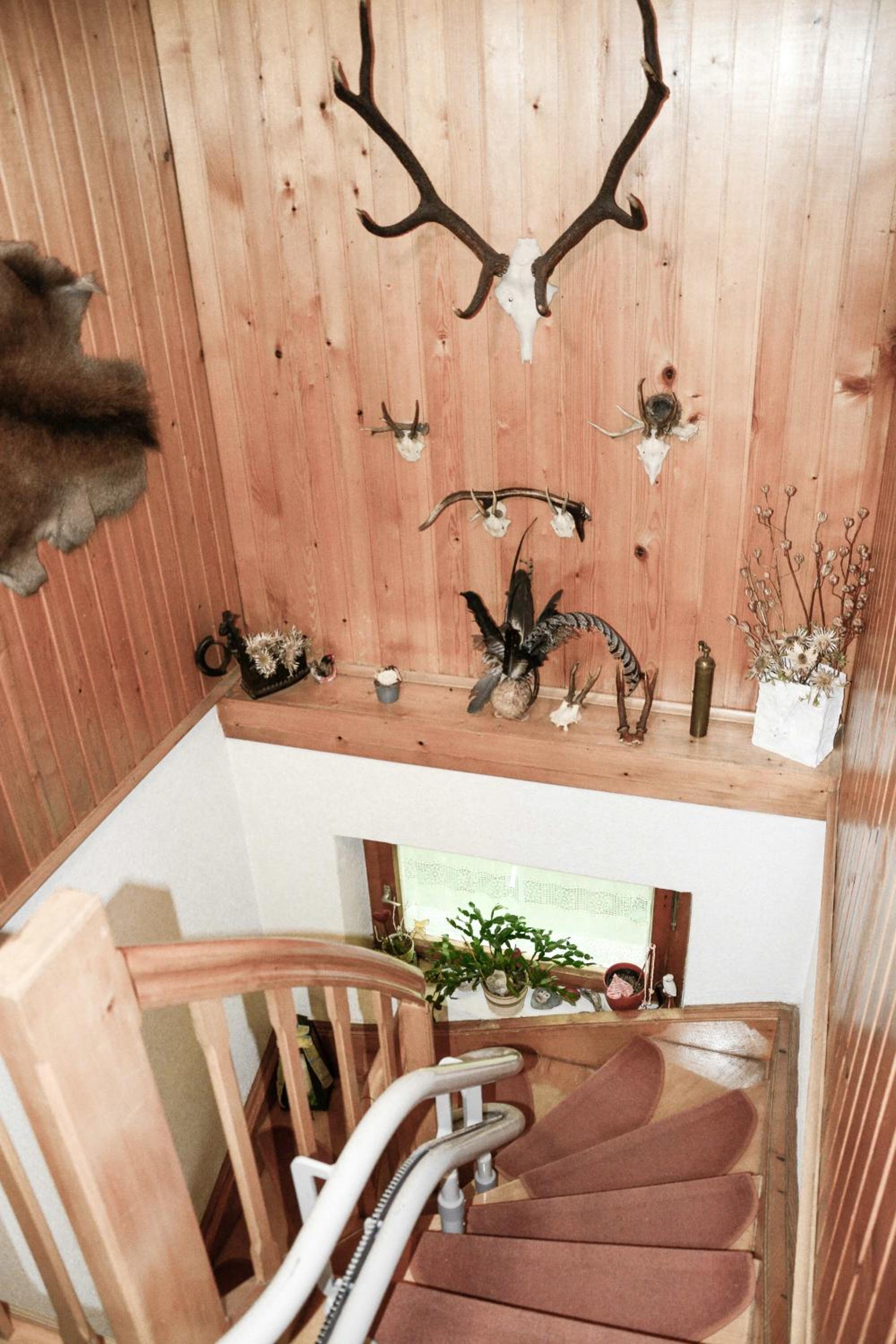 Ferienhaus Schetteregg