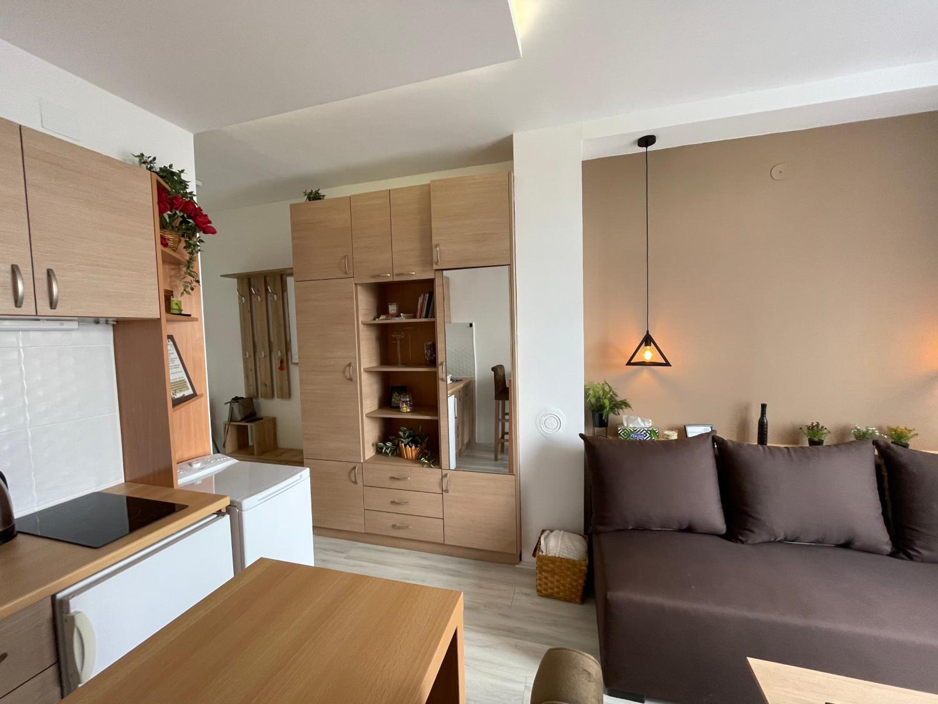 Apartman Pile 2 view 4