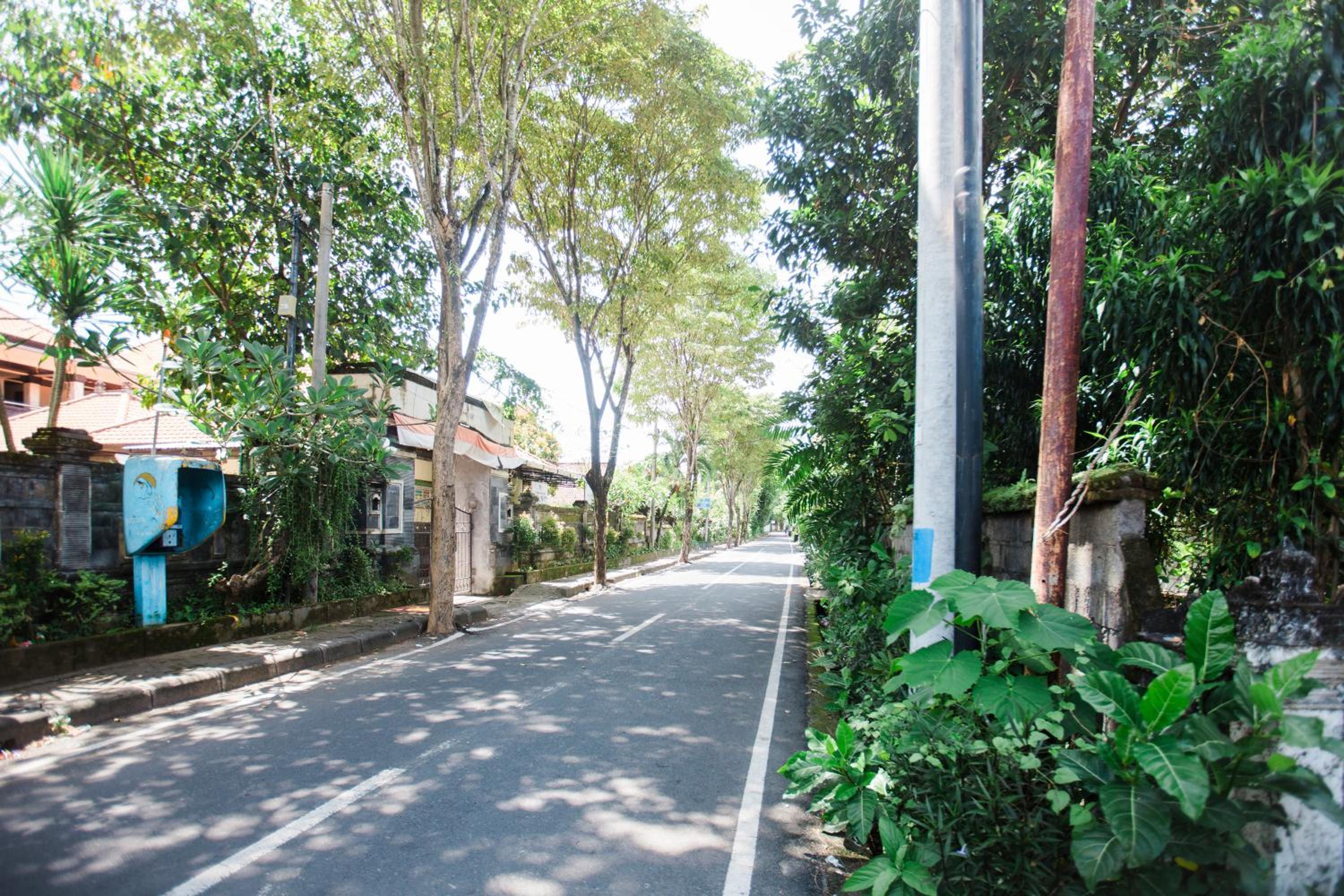 Donguri House Bali view 3