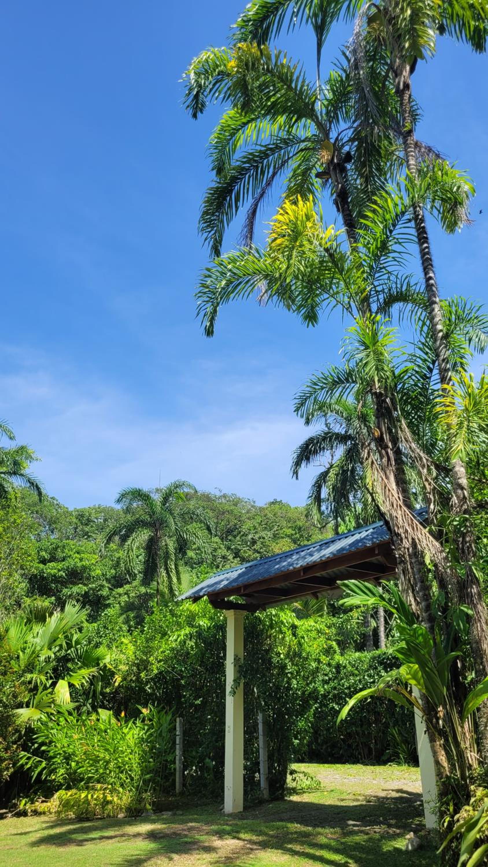 Osos Caribeños - with Garden - 400m from the Beach