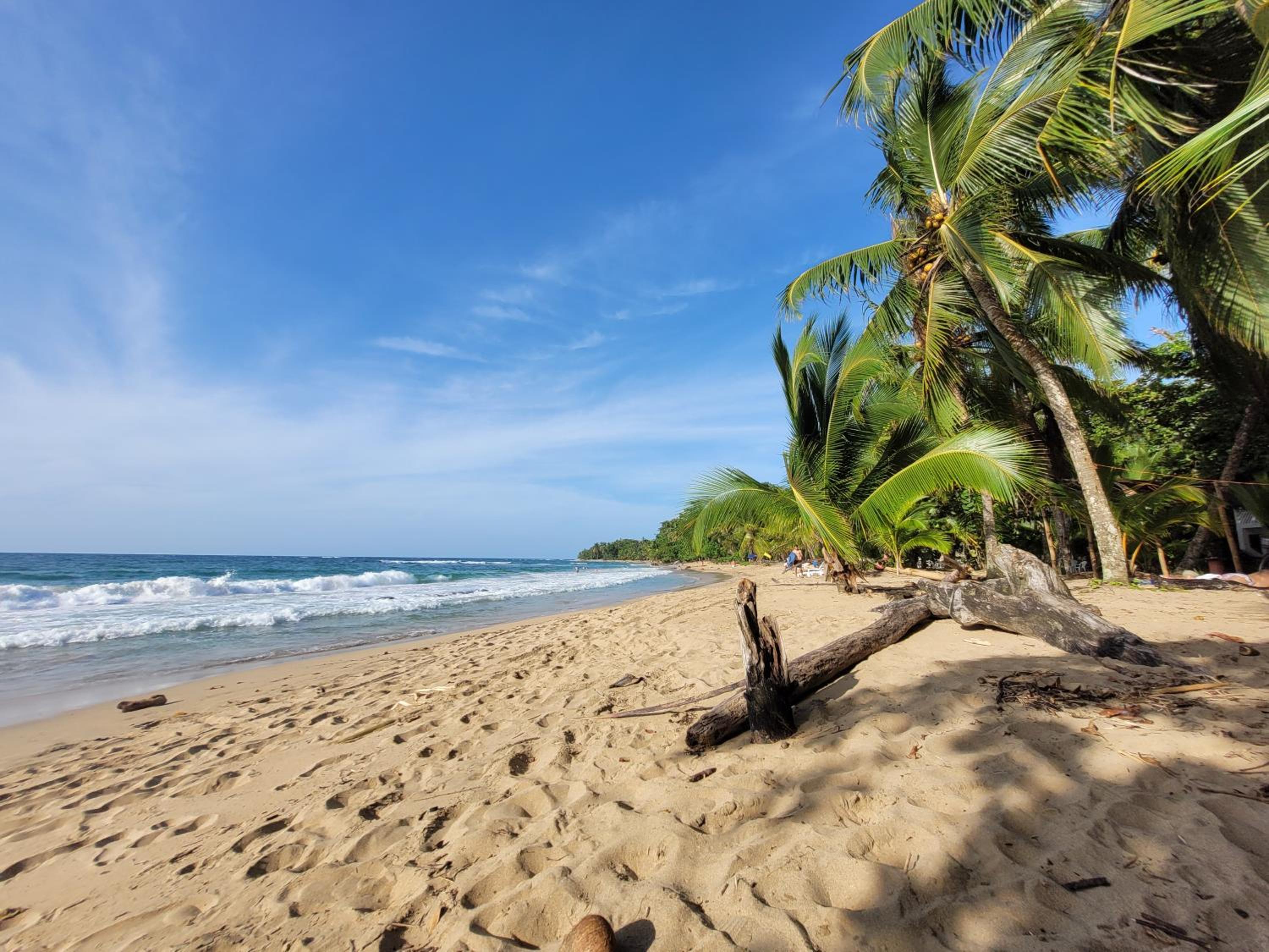 Osos Caribeños - with Garden - 400m from the Beach