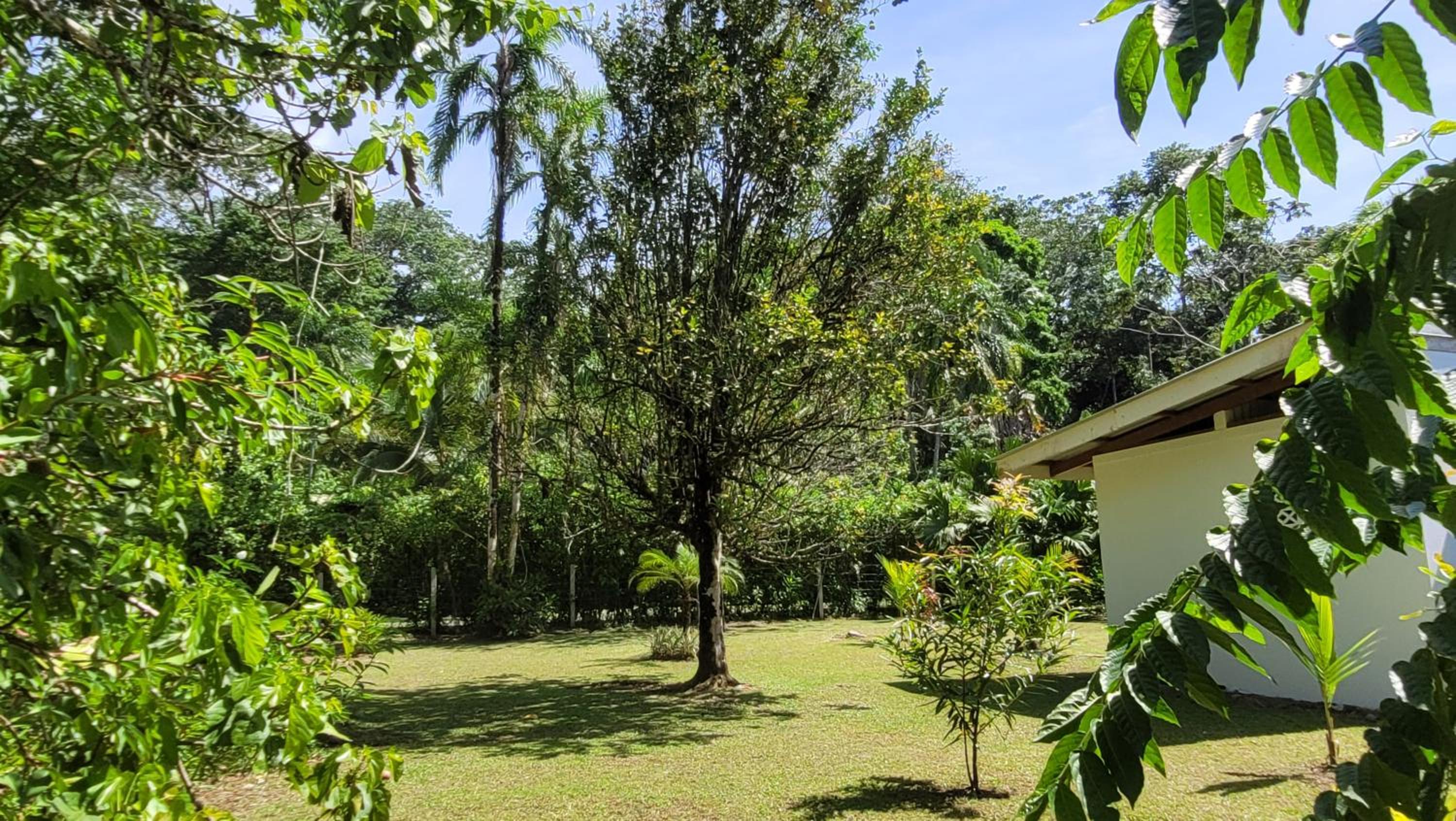 Osos Caribeños - with Garden - 400m from the Beach