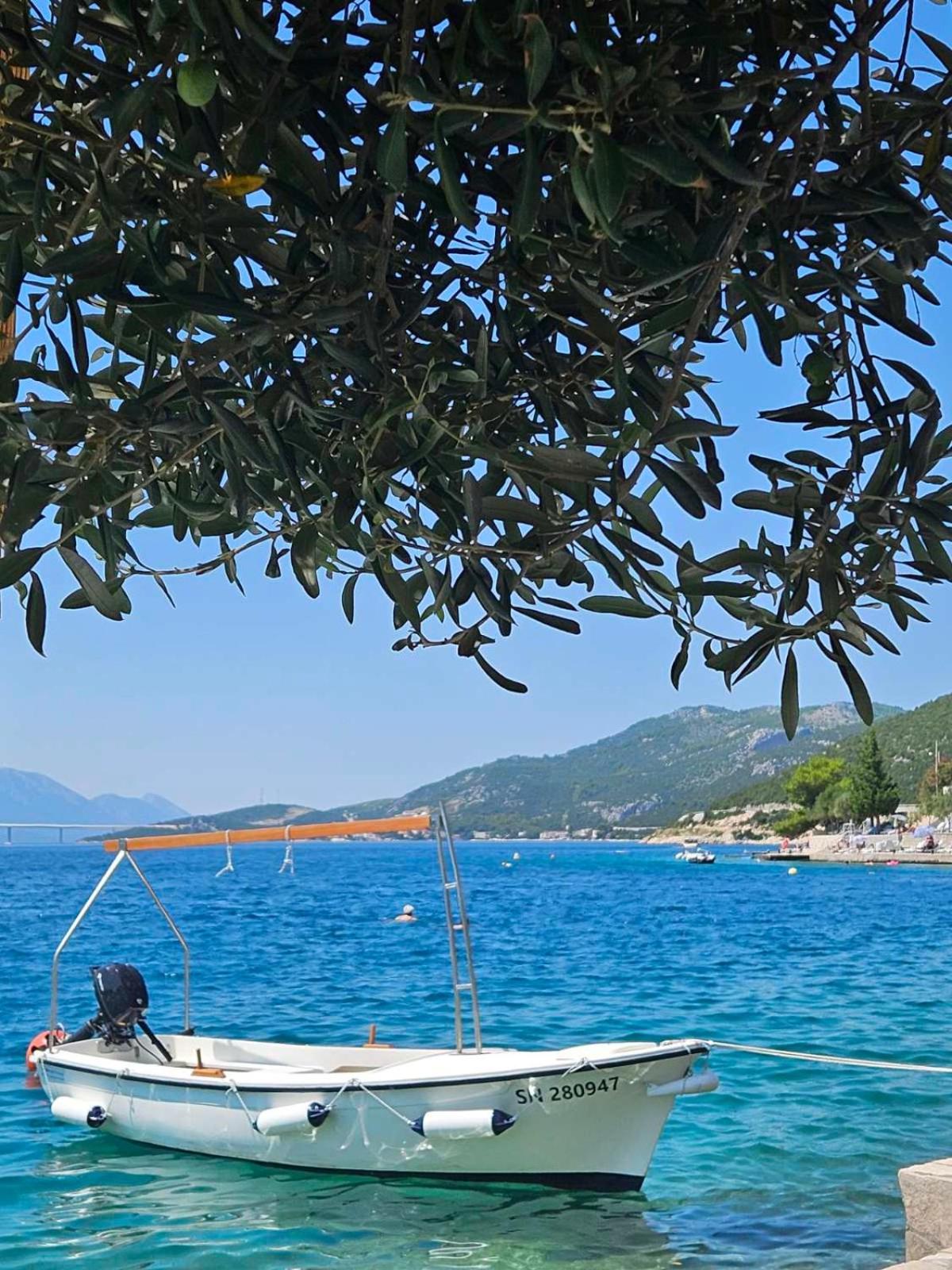 Orange Tree Mediterranean Beachfront House