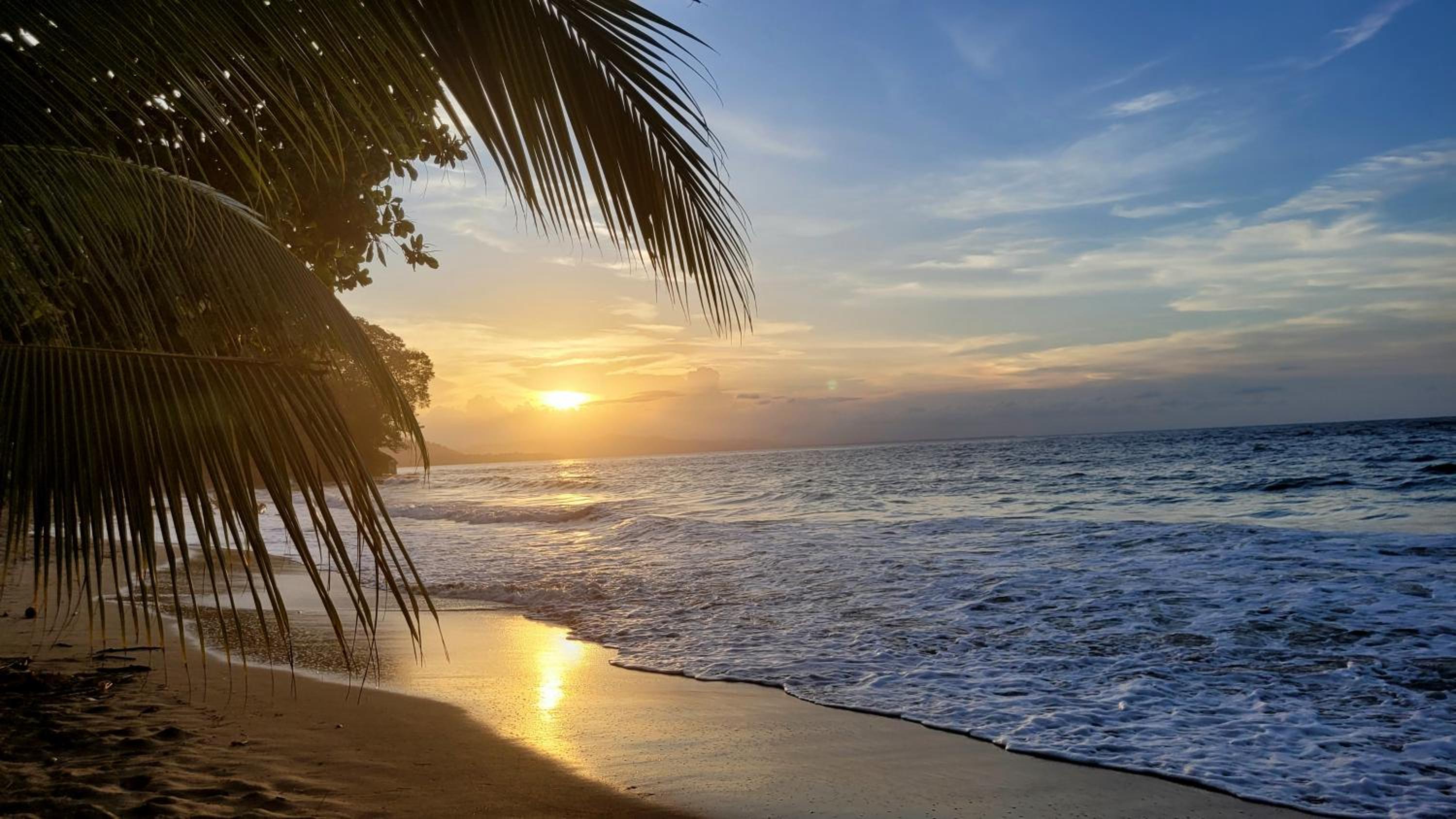 Osos Caribeños - with Garden - 400m from the Beach
