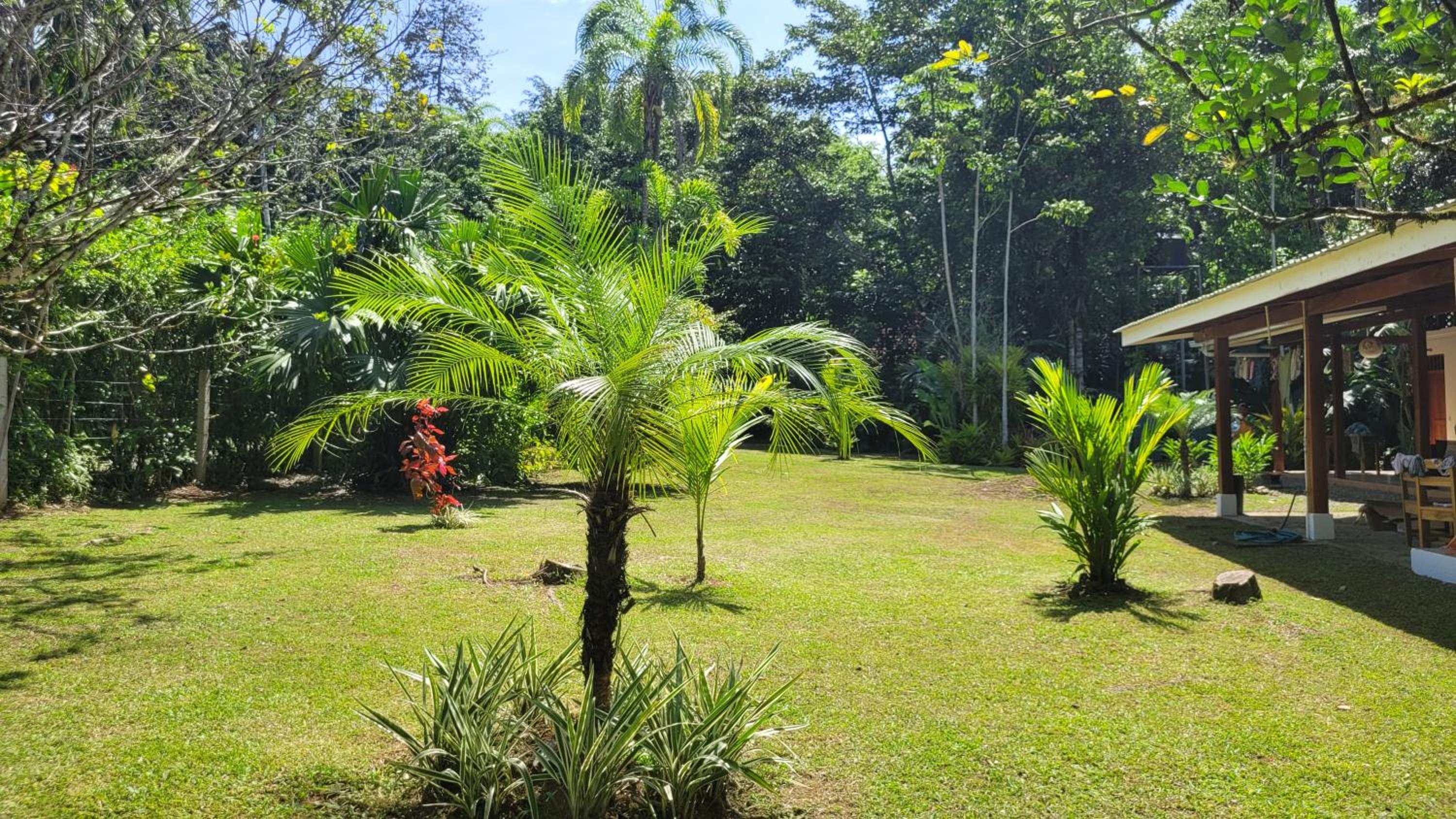 Osos Caribeños - with Garden - 400m from the Beach