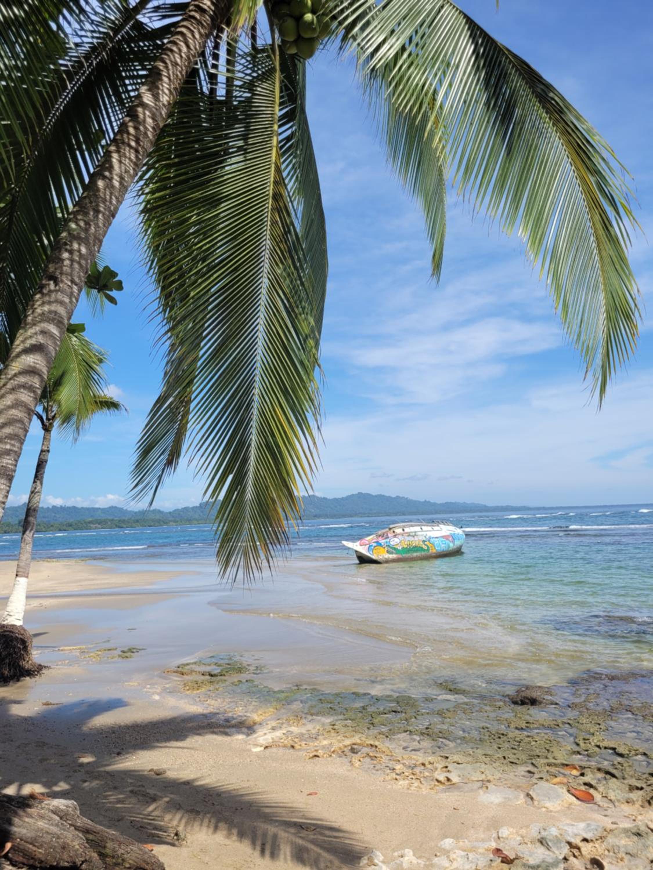 Osos Caribeños - with Garden - 400m from the Beach