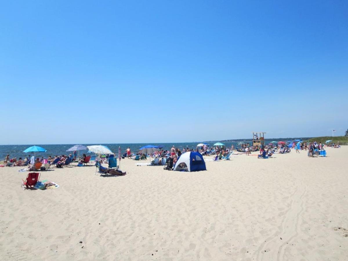 Photo 44