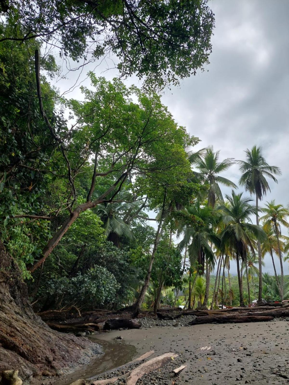 Casa Bahía Ale, Bahía Ballena Uvita