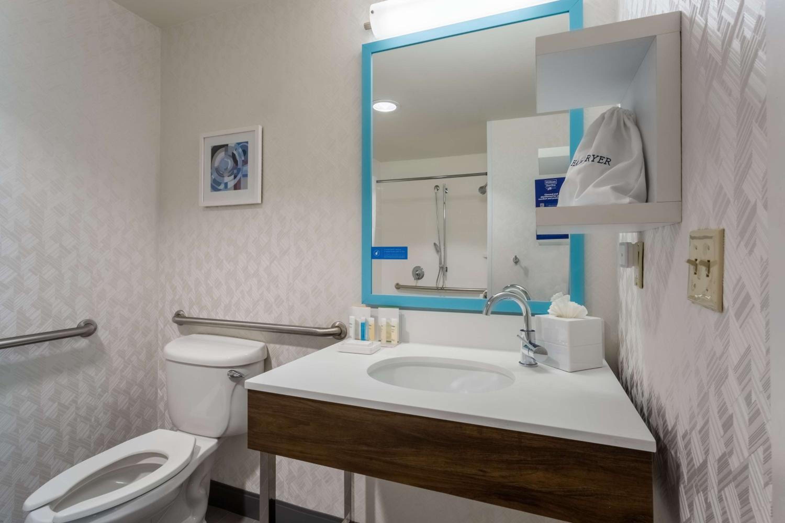 Hampton Inn Suites Herndon-Reston - Property Image 28